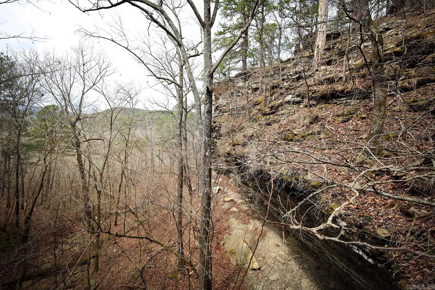 TBD  Angora Mountain  Clinton, AR