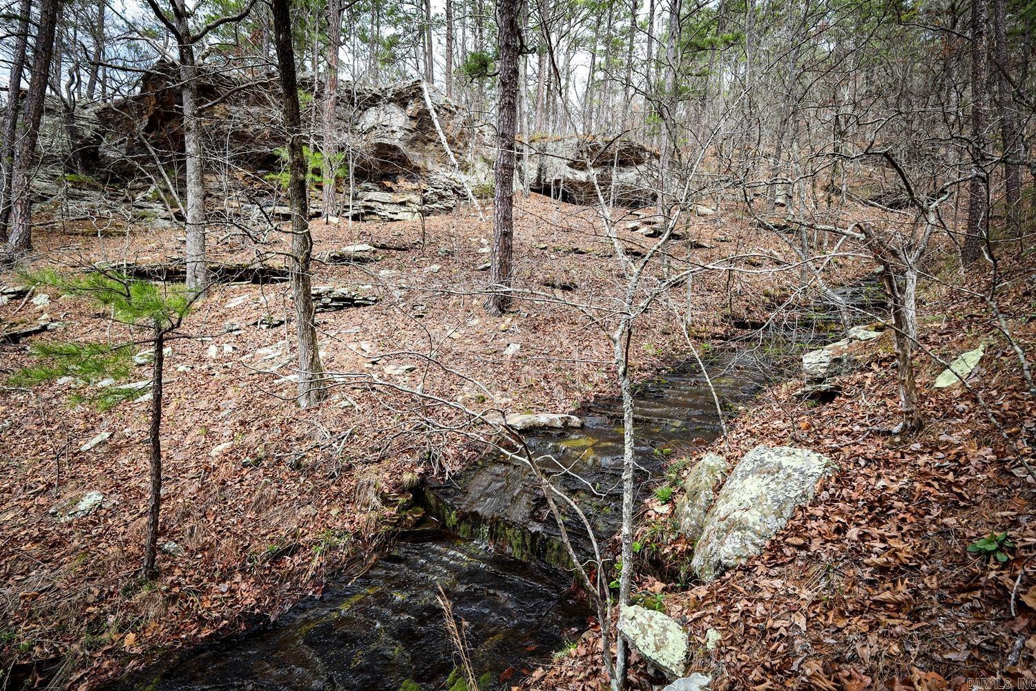 TBD  Angora Mountain  Clinton, AR