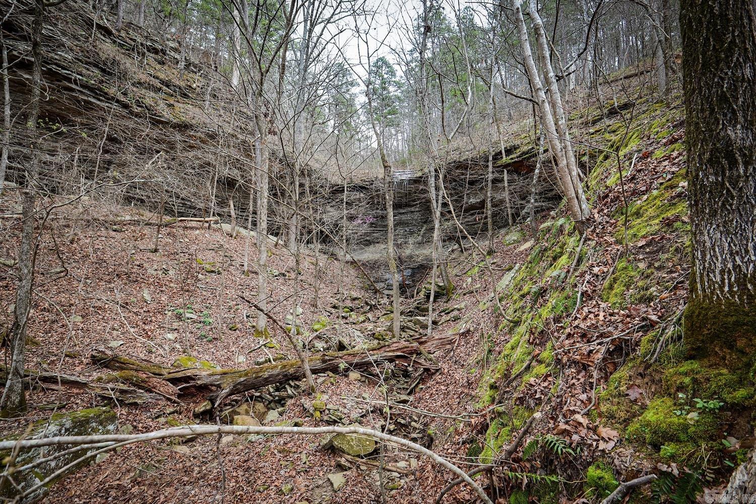 TBD  Angora Mountain  Clinton, AR