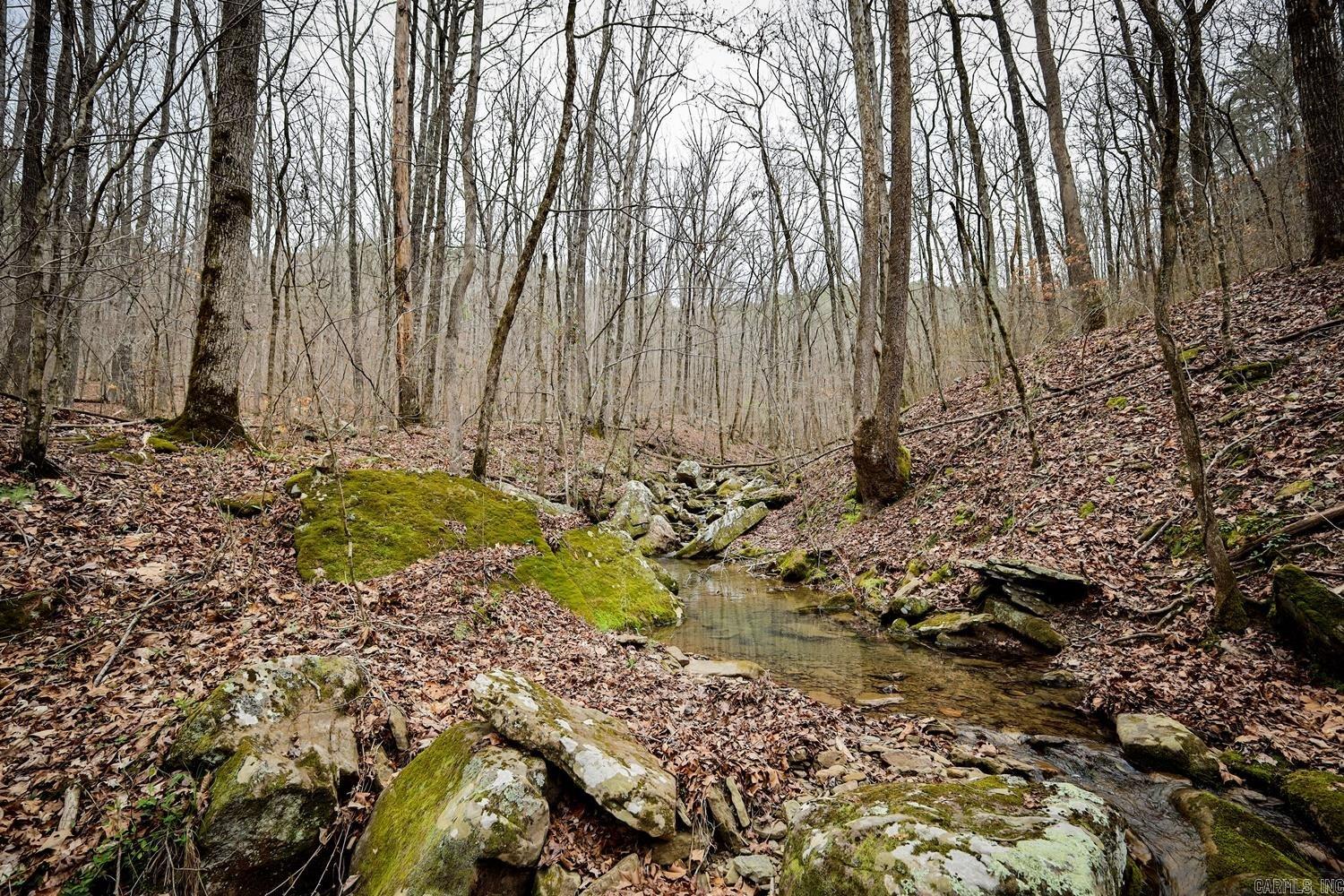 TBD  Angora Mountain  Clinton, AR