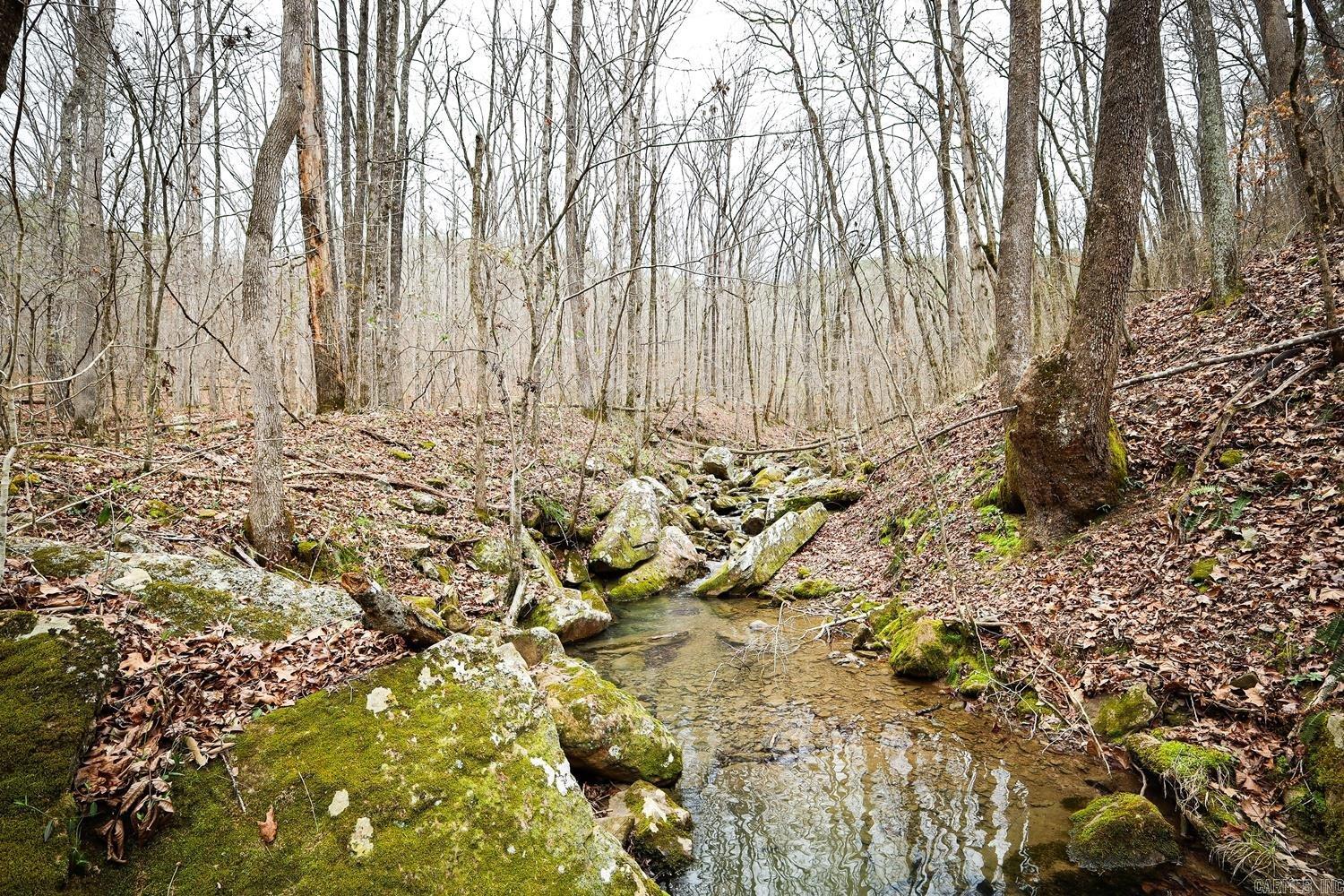 TBD  Angora Mountain  Clinton, AR