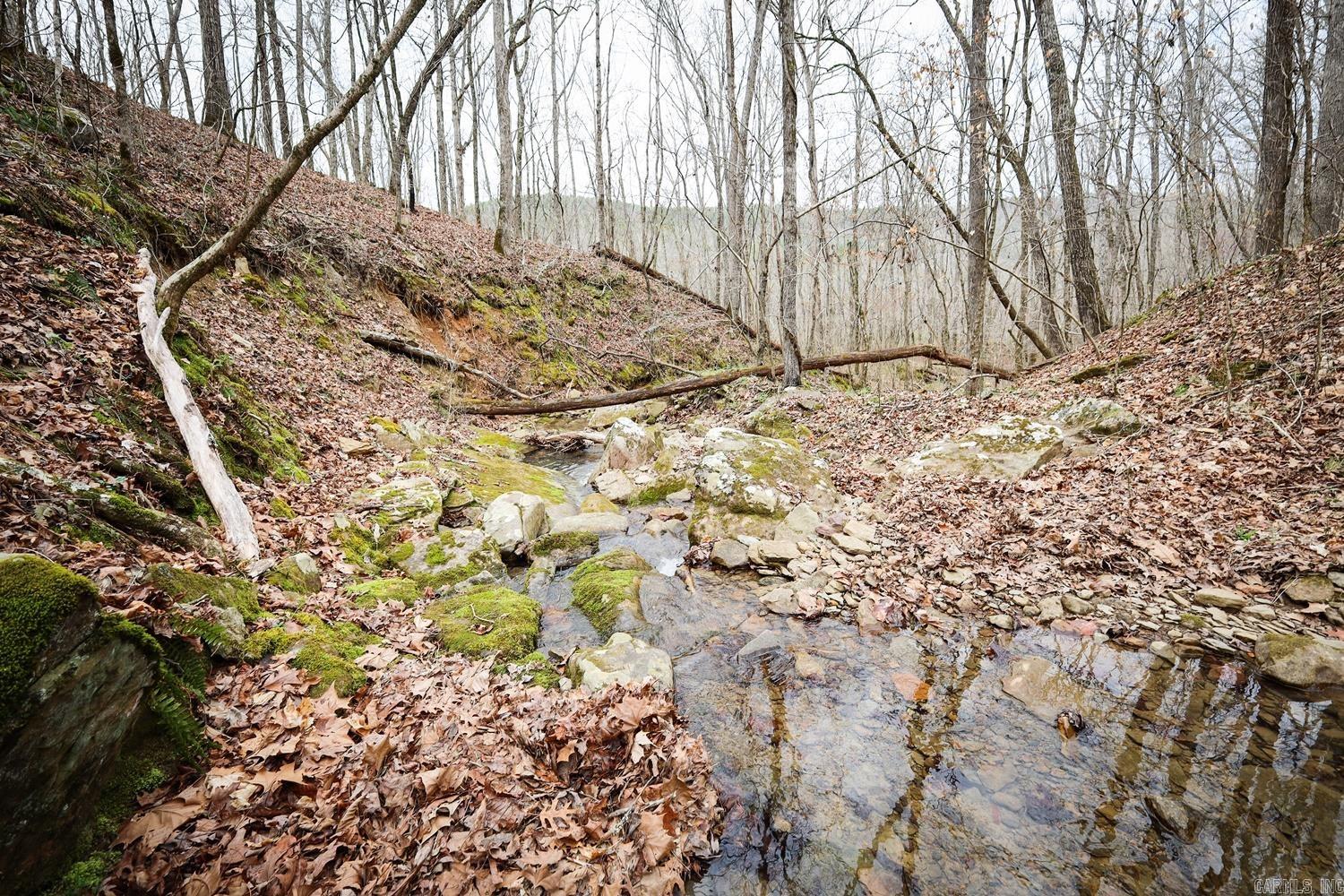 TBD  Angora Mountain  Clinton, AR
