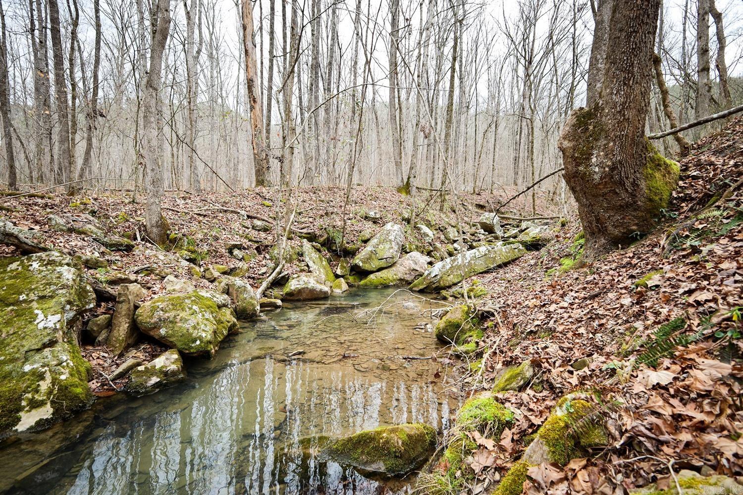 TBD  Angora Mountain  Clinton, AR