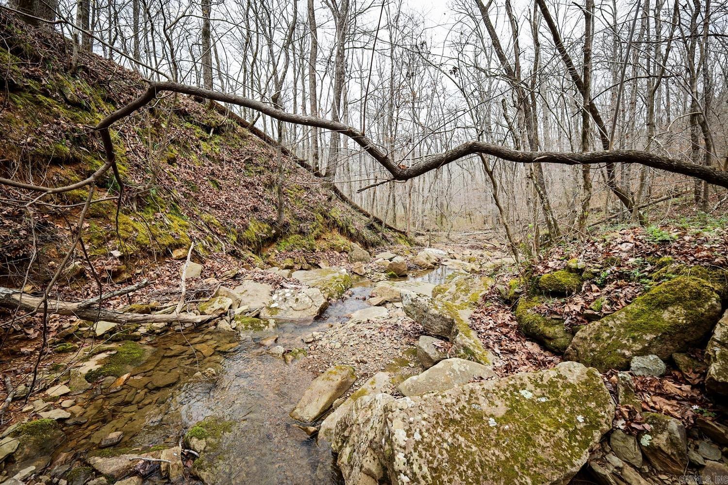 TBD  Angora Mountain  Clinton, AR
