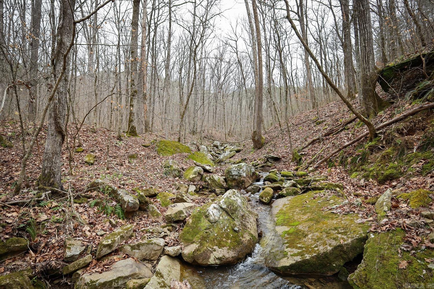 TBD  Angora Mountain  Clinton, AR