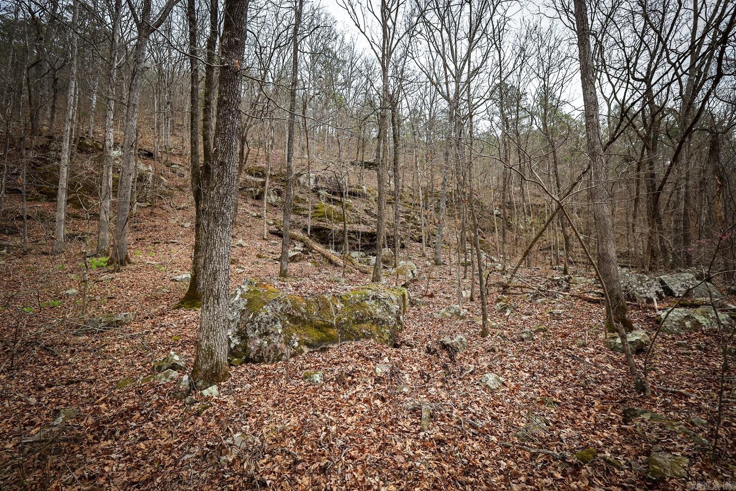 TBD  Angora Mountain  Clinton, AR