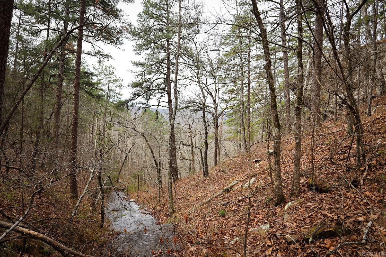 TBD  Angora Mountain  Clinton, AR