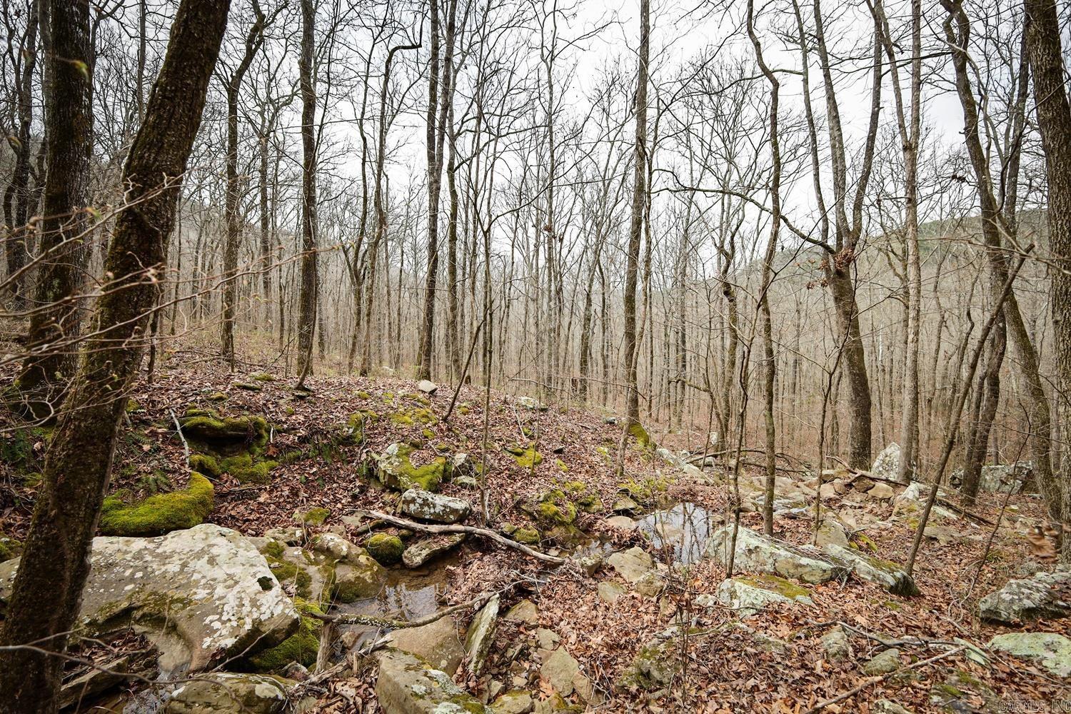 TBD  Angora Mountain  Clinton, AR