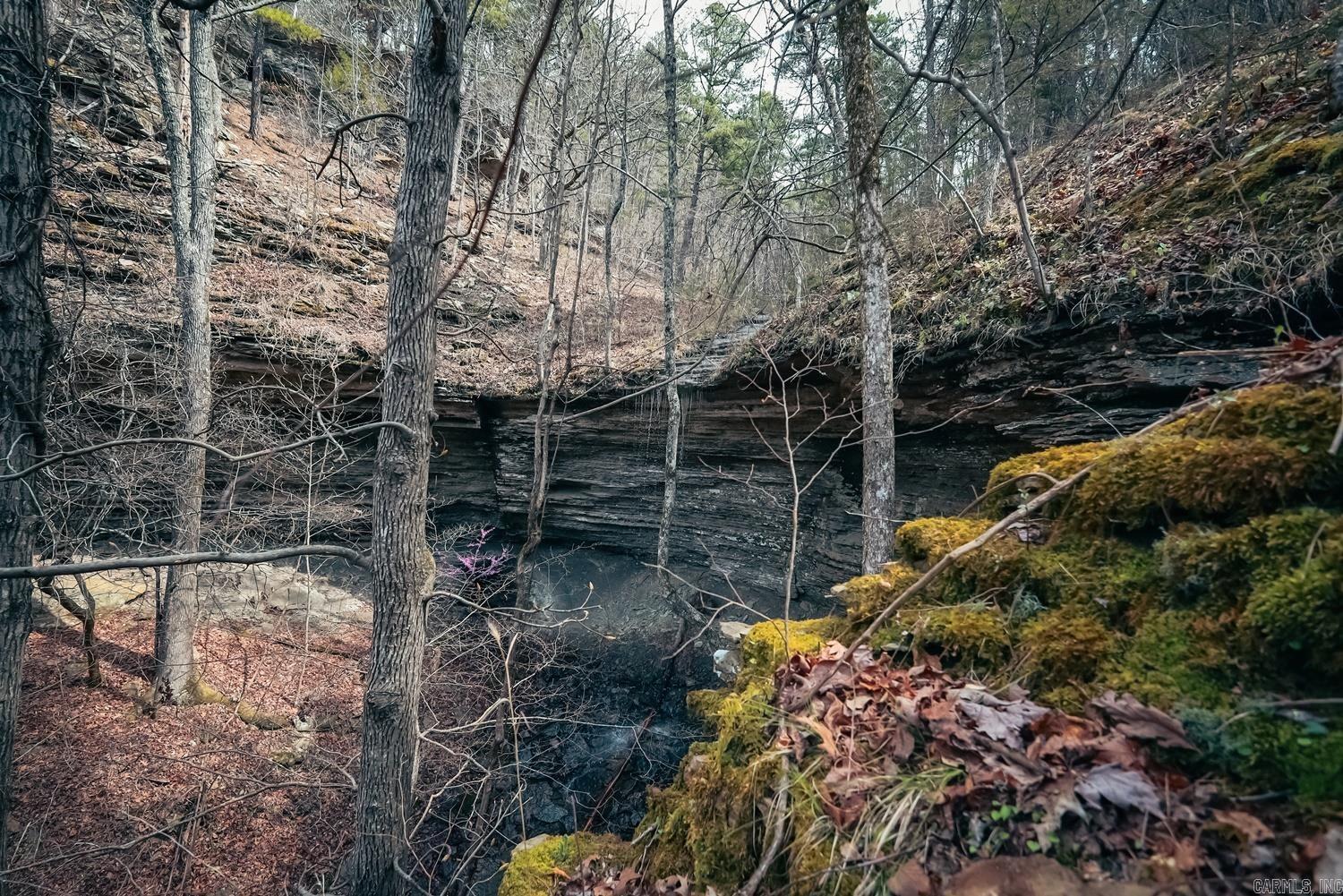 TBD  Angora Mountain  Clinton, AR