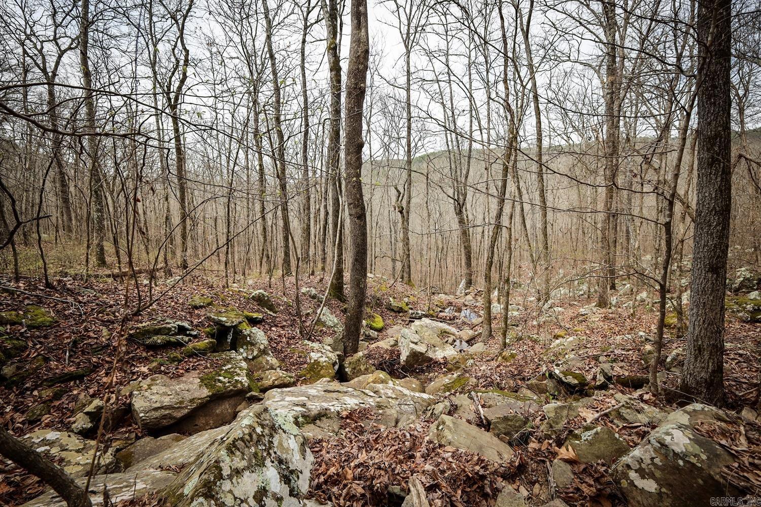 TBD  Angora Mountain  Clinton, AR