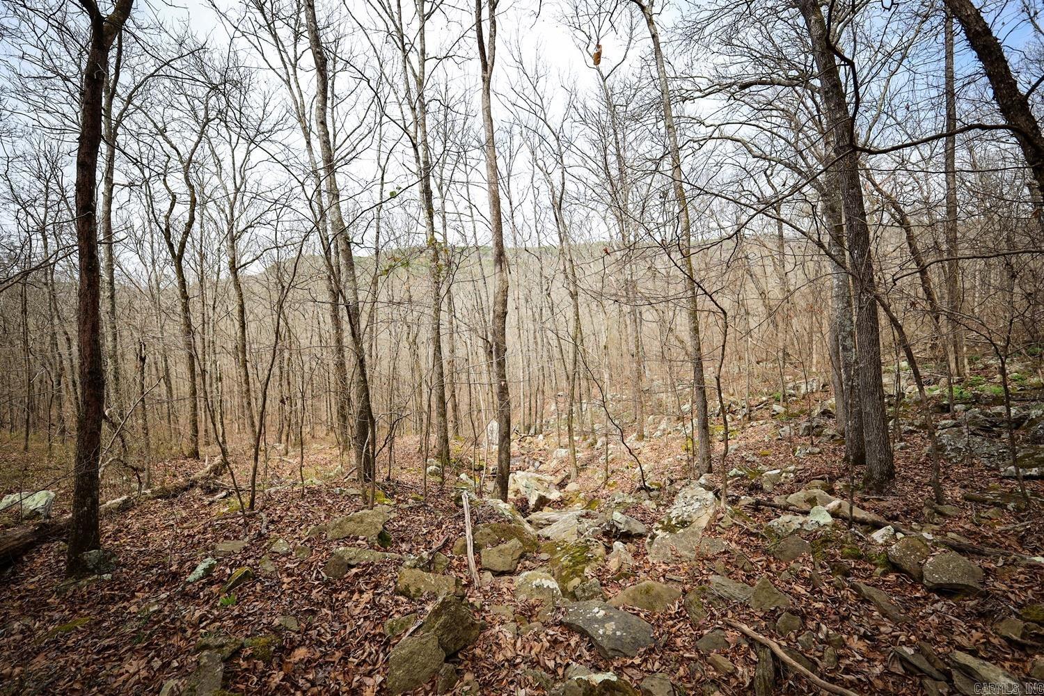 TBD  Angora Mountain  Clinton, AR