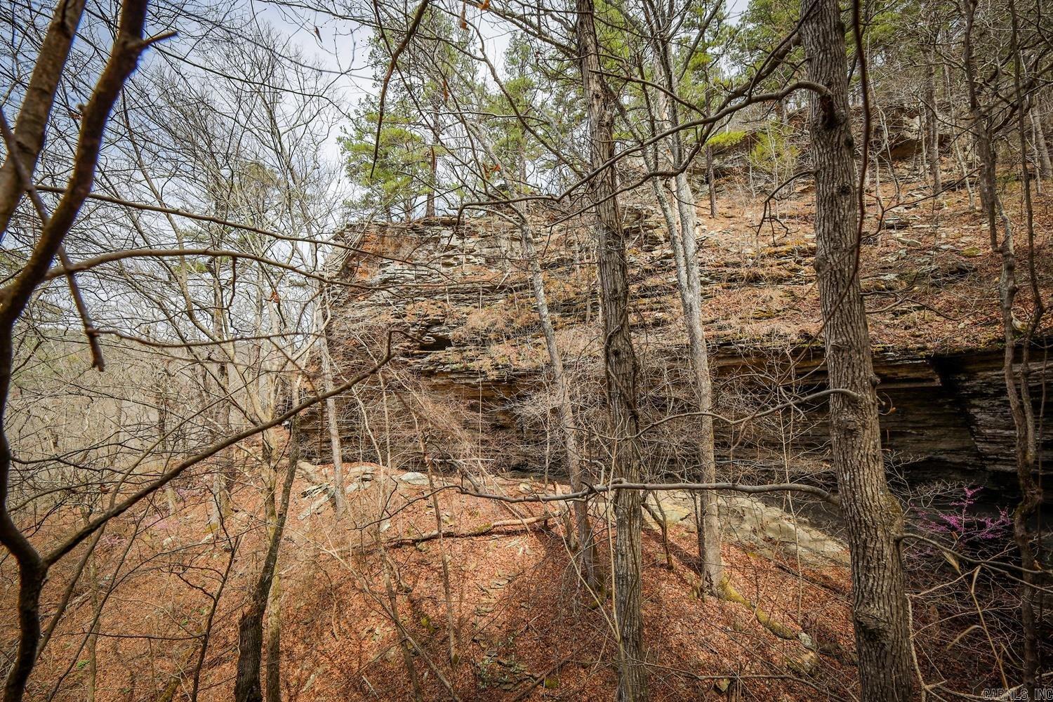 TBD  Angora Mountain  Clinton, AR