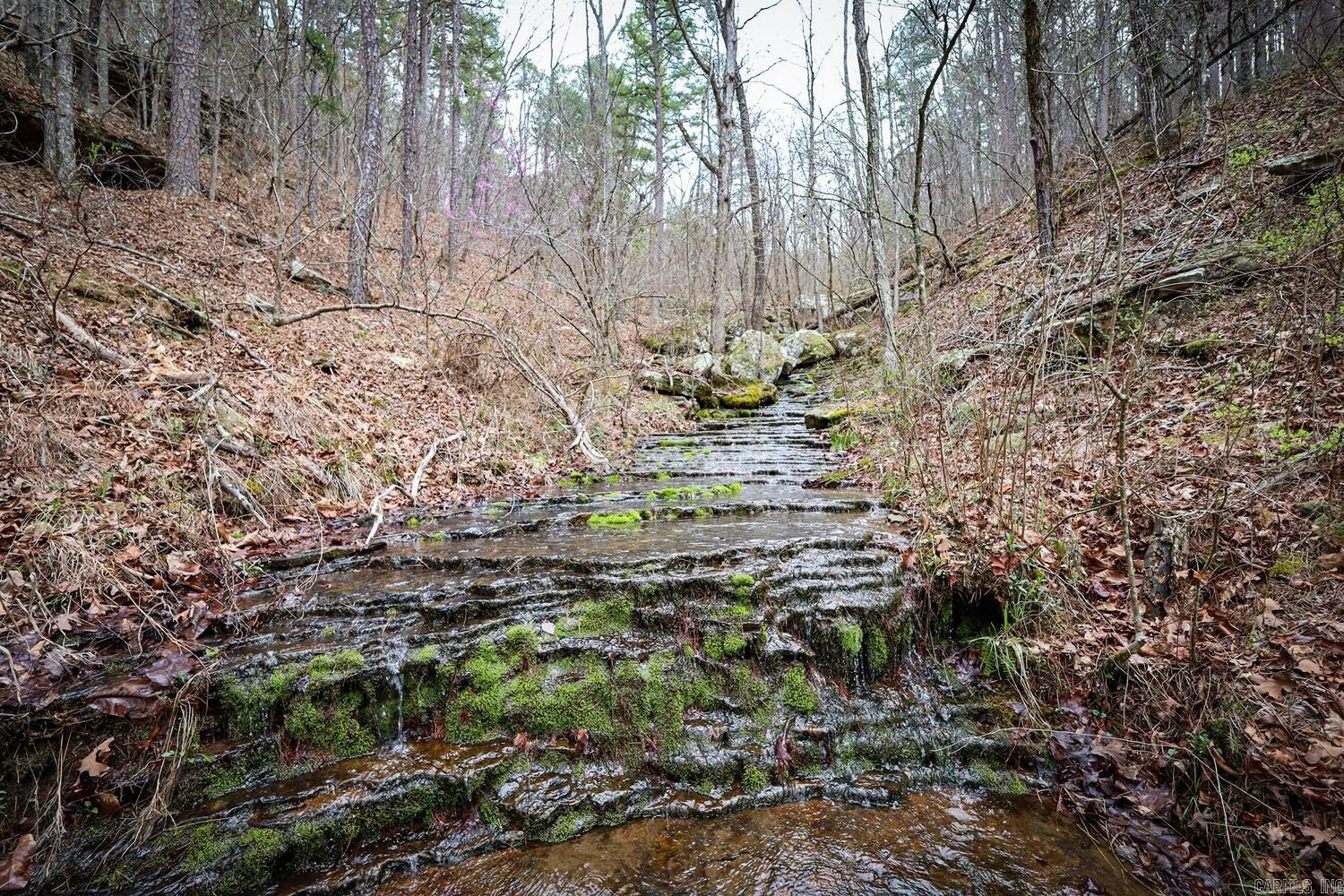 TBD  Angora Mountain  Clinton, AR