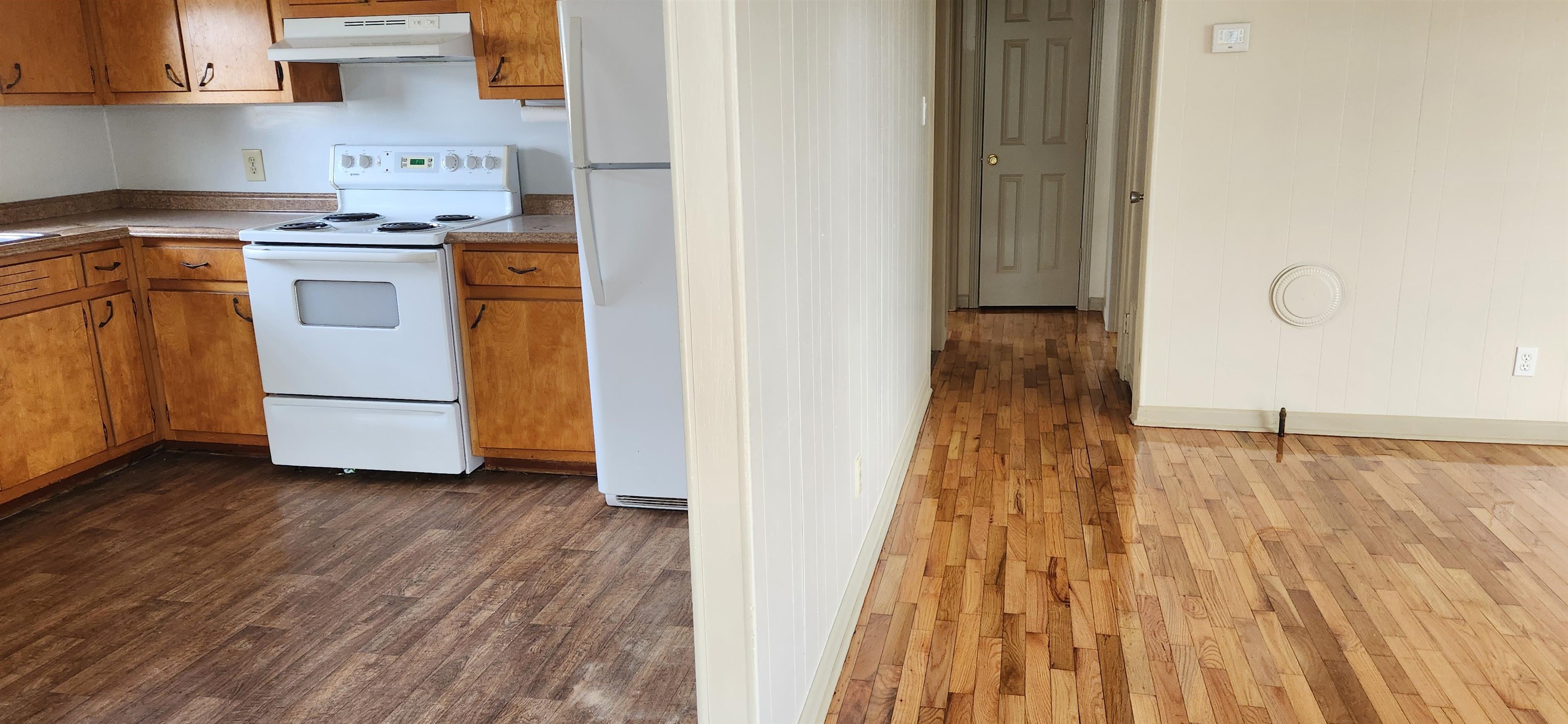 29  Martin  Ash Flat, AR