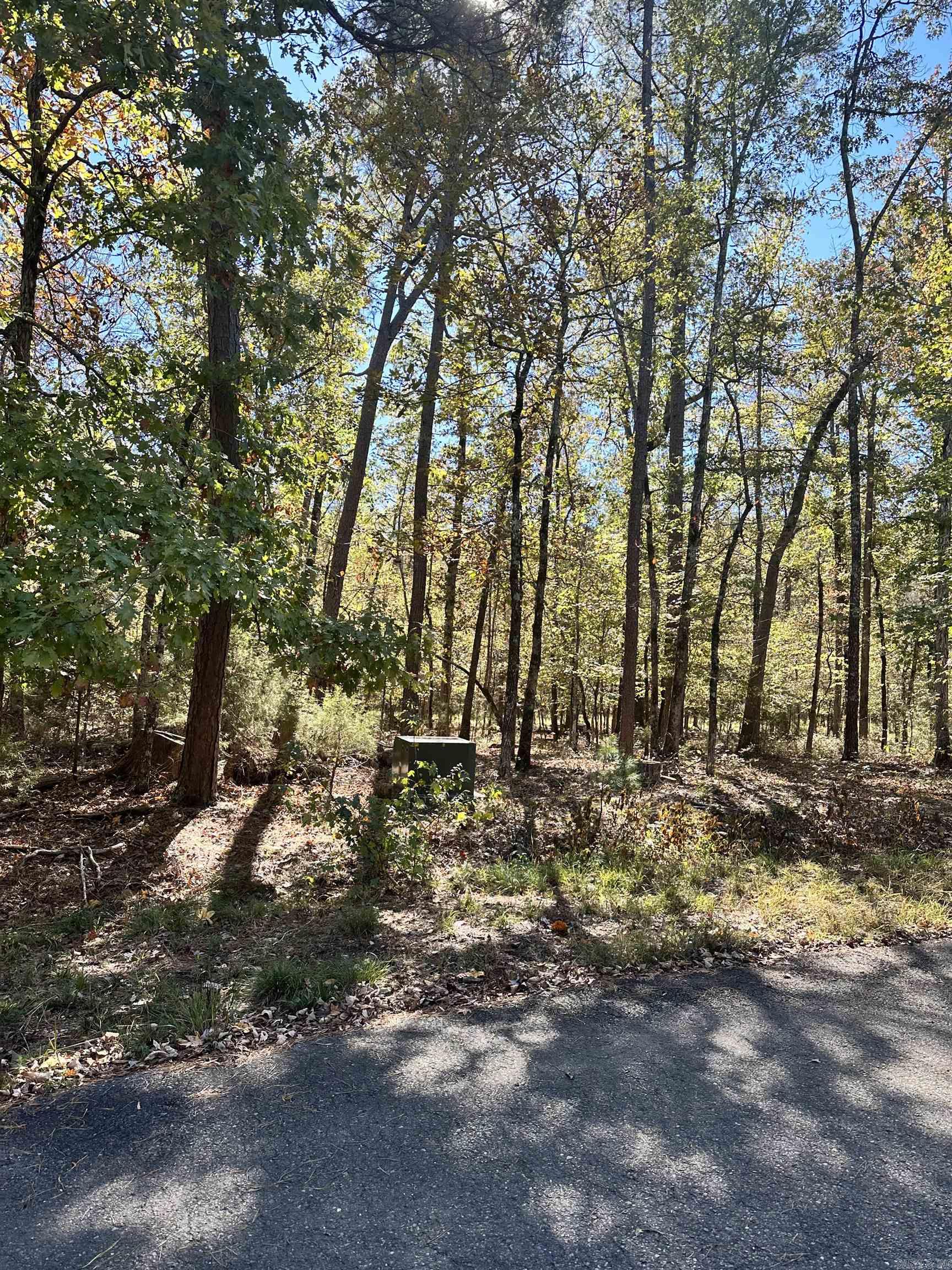 6  Golfista  Hot Springs Village, AR