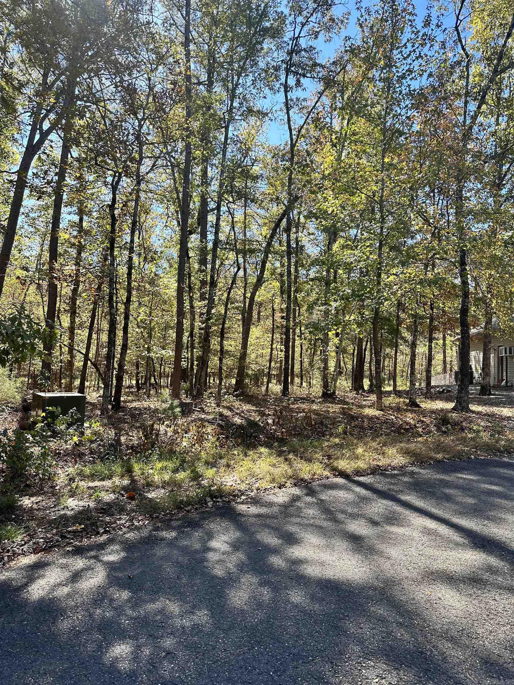 6  Golfista  Hot Springs Village, AR