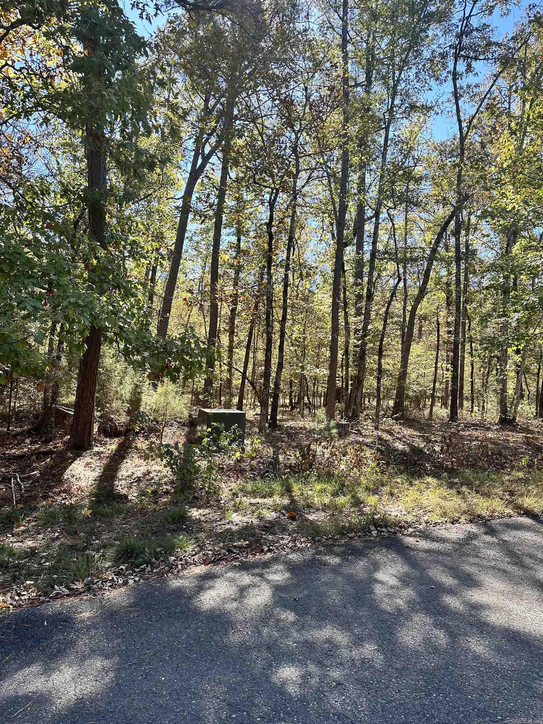 6  Golfista  Hot Springs Village, AR