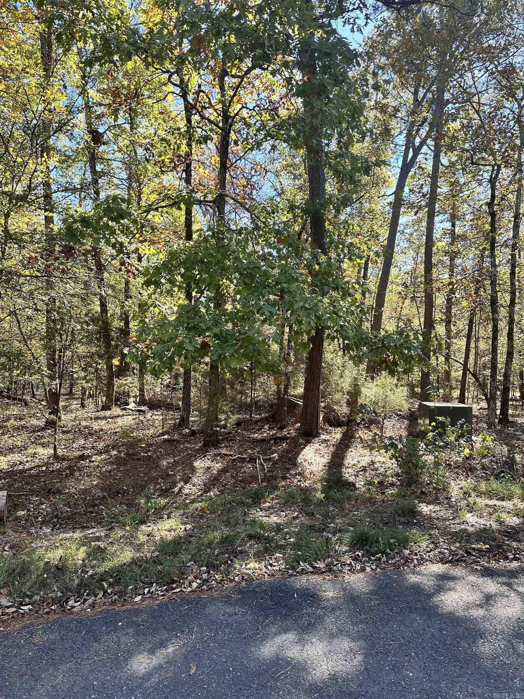 6  Golfista  Hot Springs Village, AR