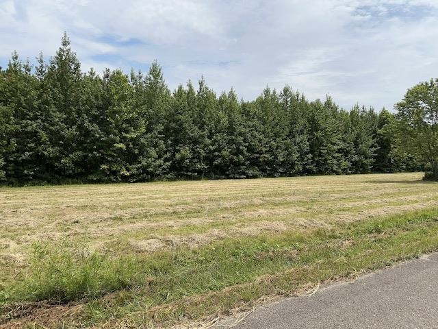 29 Acres  Greensboro  Jonesboro, AR