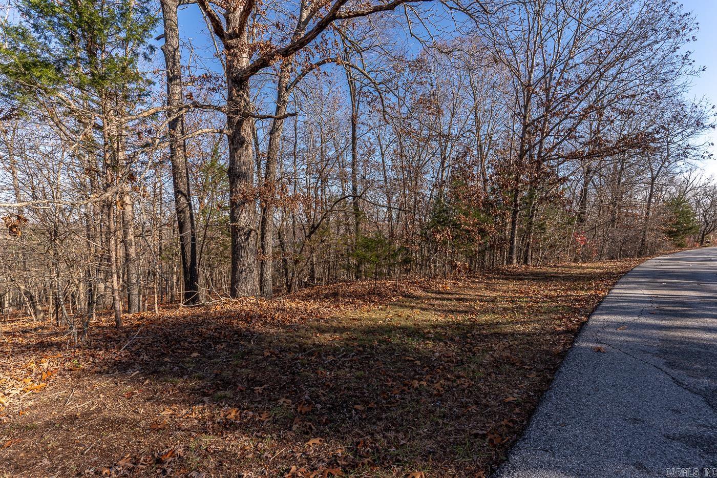 106  Victoria Dr  Horseshoe Bend, AR