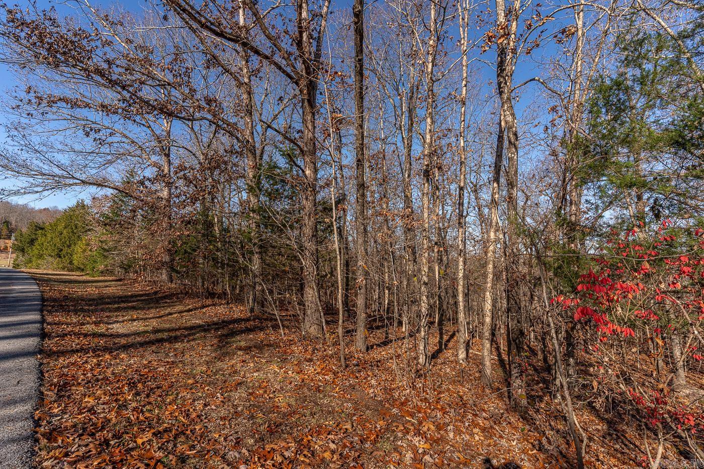 106  Victoria Dr  Horseshoe Bend, AR