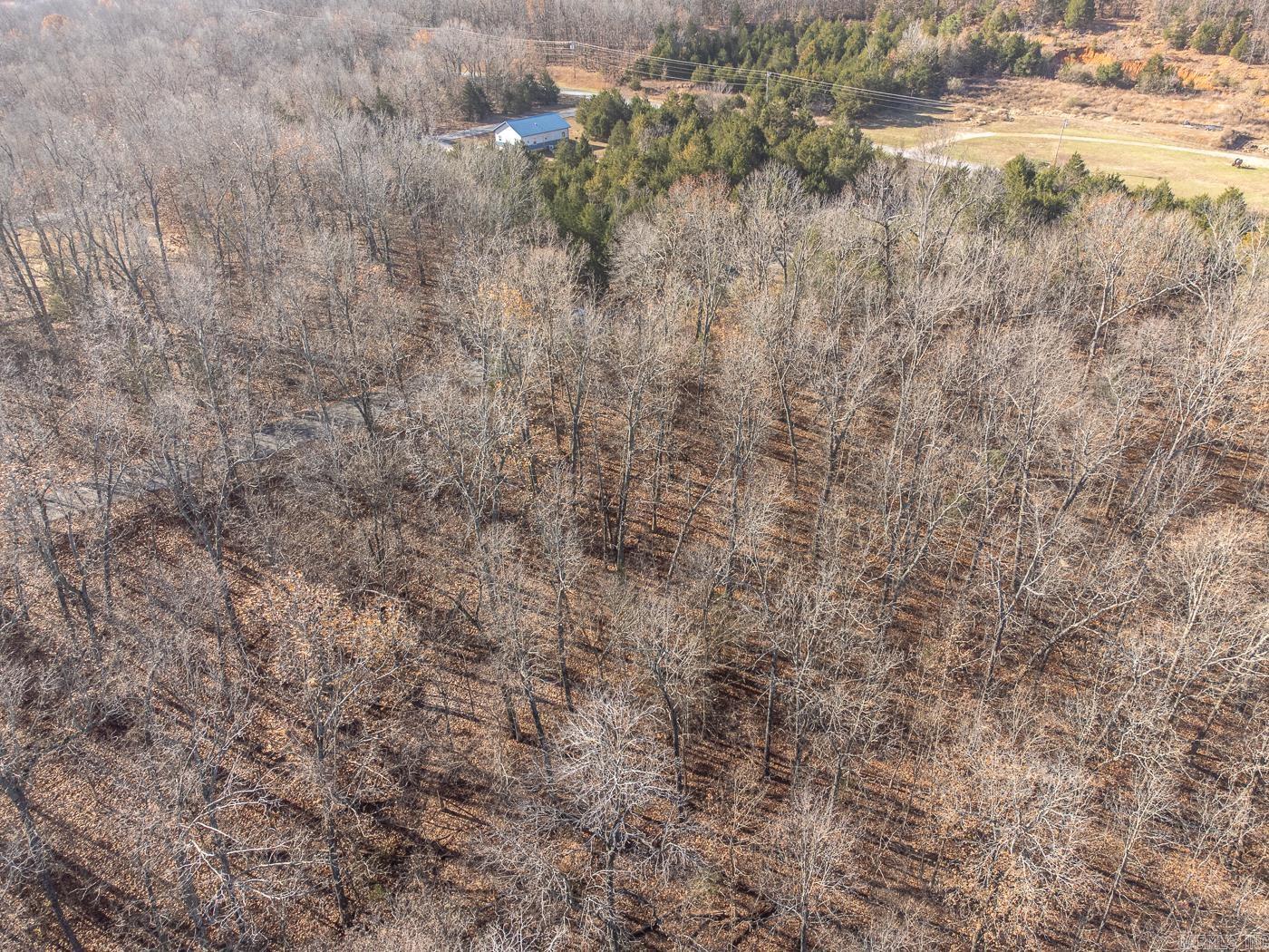 106  Victoria Dr  Horseshoe Bend, AR
