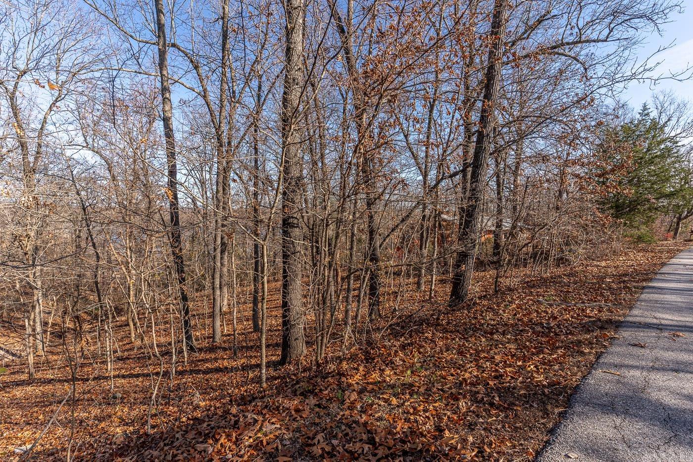 202  Victoria  Horseshoe Bend, AR