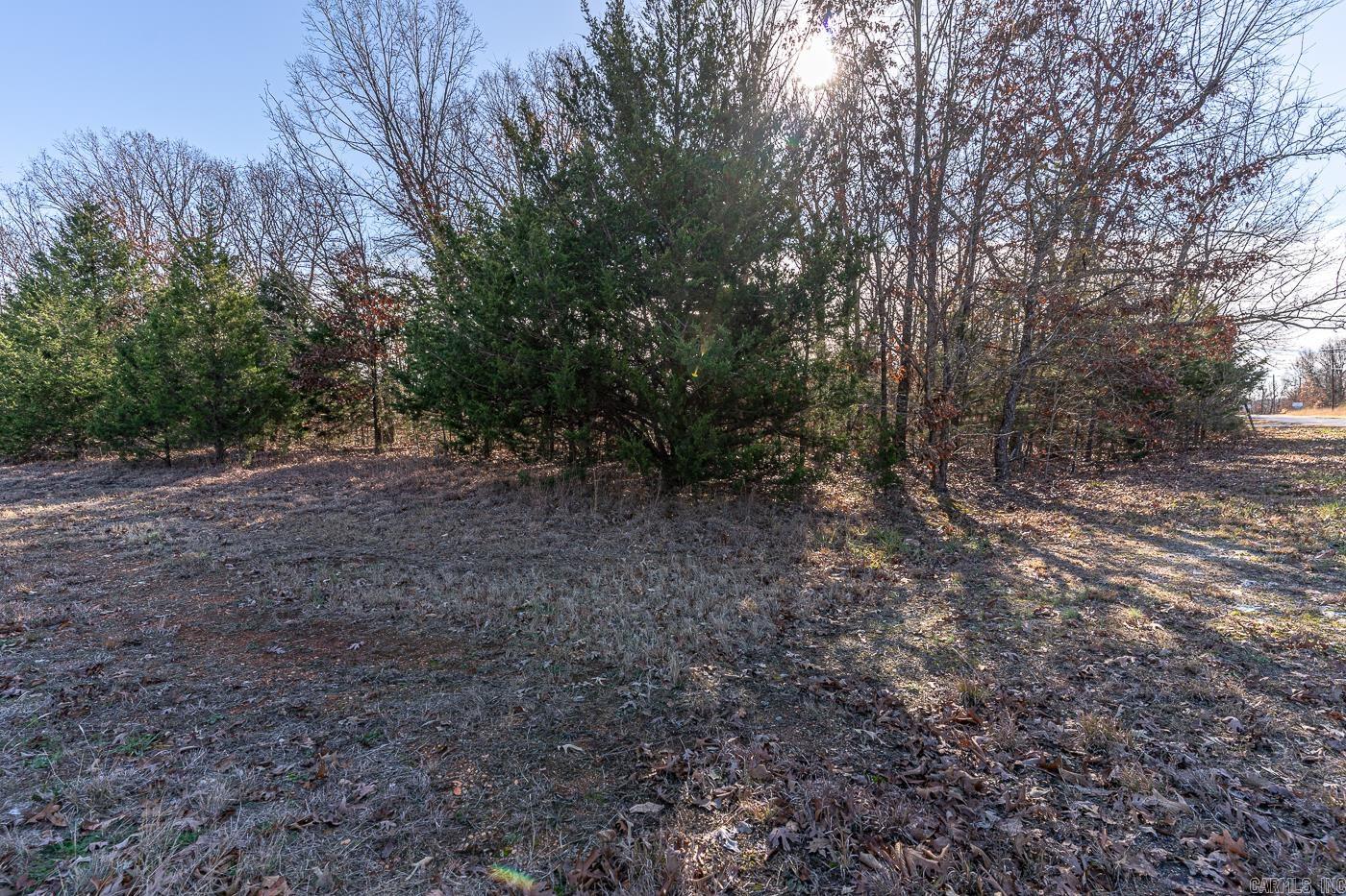 101  Alexander Ave  Horseshoe Bend, AR
