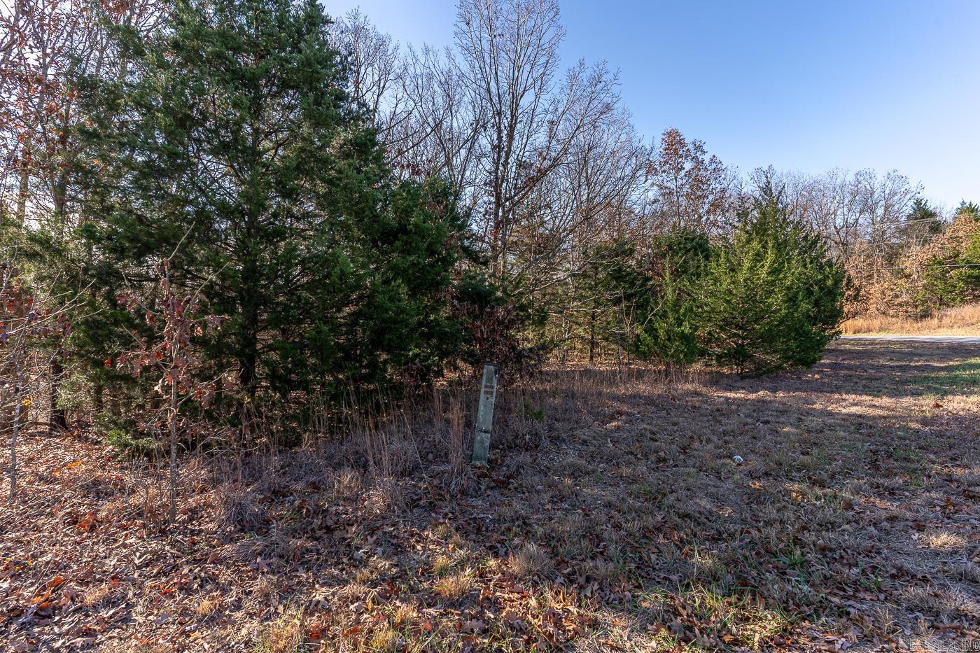 101  Alexander Ave  Horseshoe Bend, AR