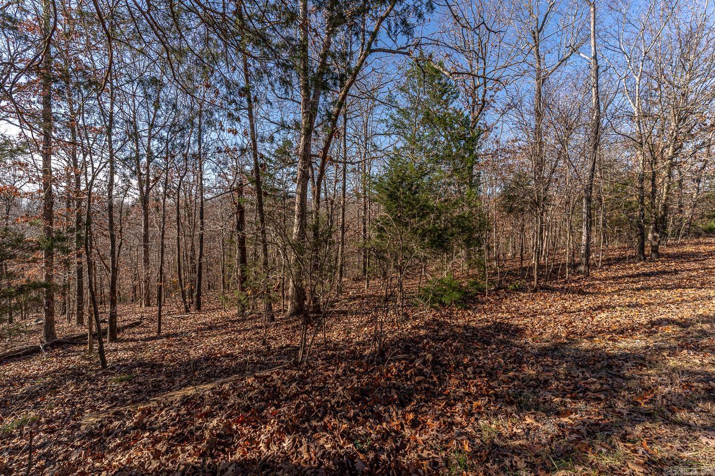 301  Alexander Ave  Horseshoe Bend, AR