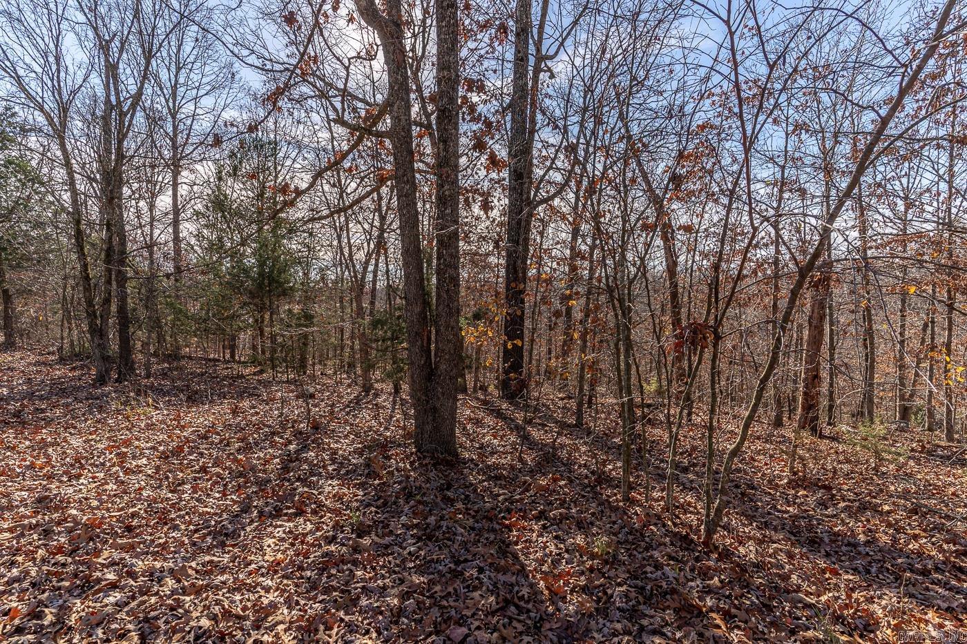 301  Alexander Ave  Horseshoe Bend, AR