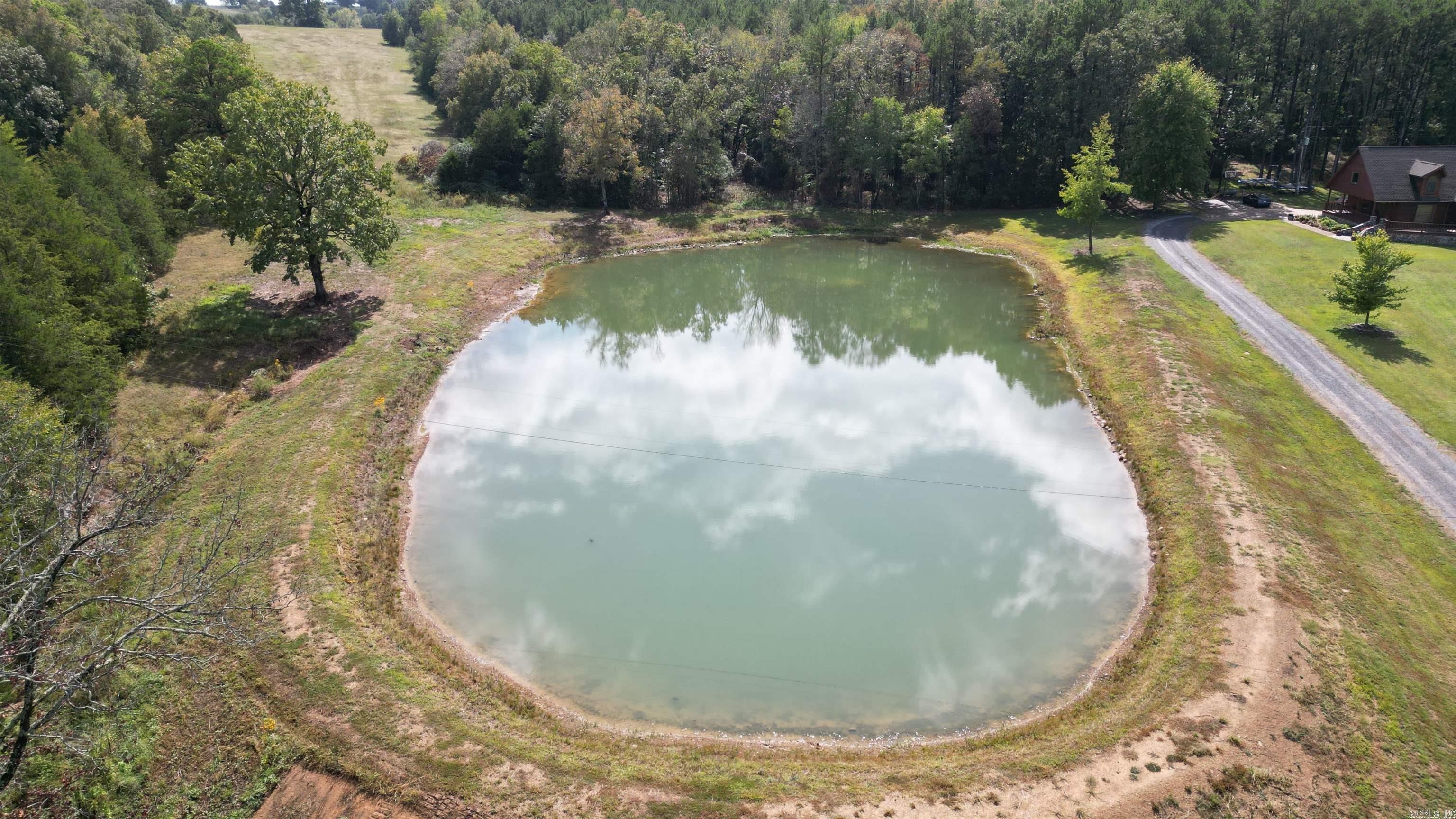 4221  Bricky Rd. S  Bee Branch, AR