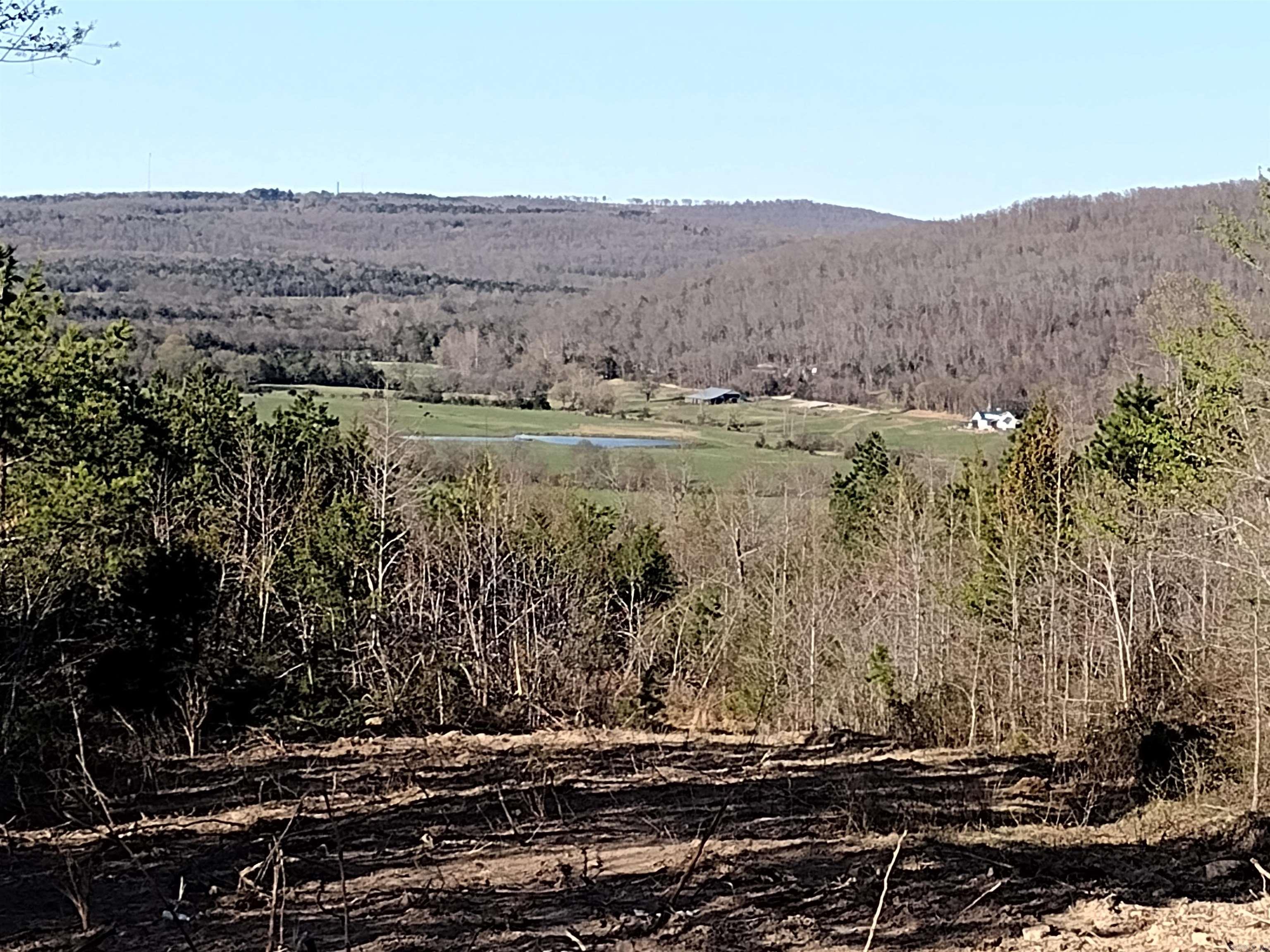 0000  Sunnyland Road  Mountain View, AR