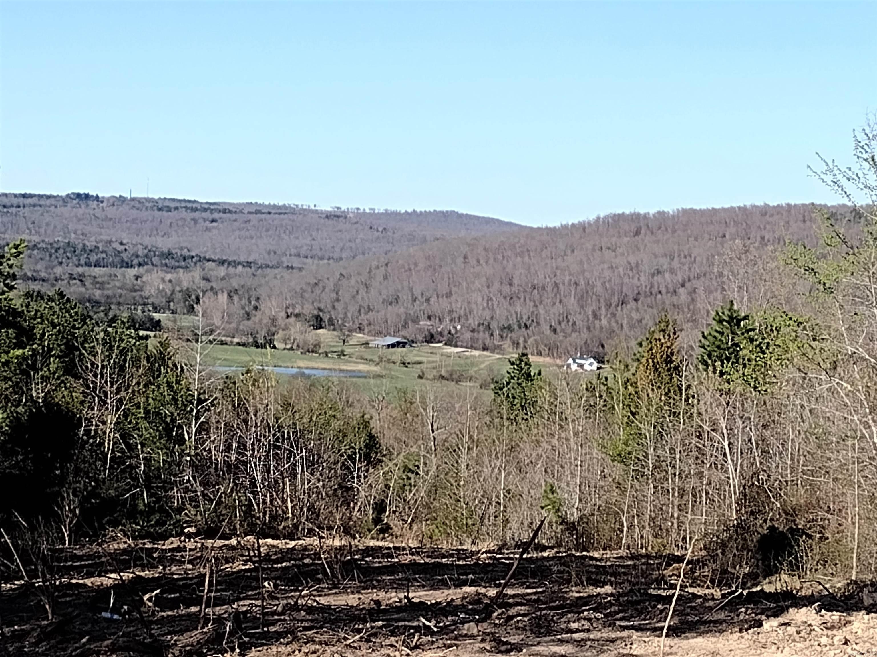 0000  Sunnyland Road  Mountain View, AR