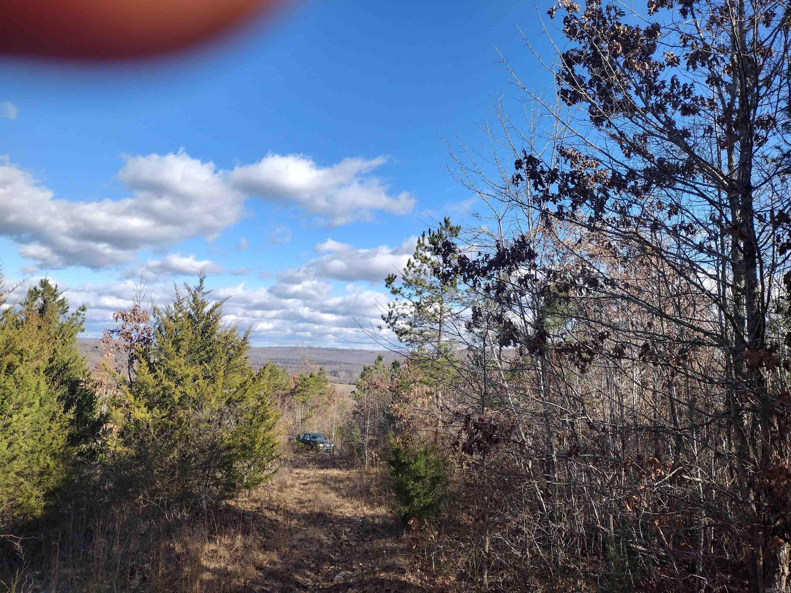 0000  Sunnyland Road  Mountain View, AR