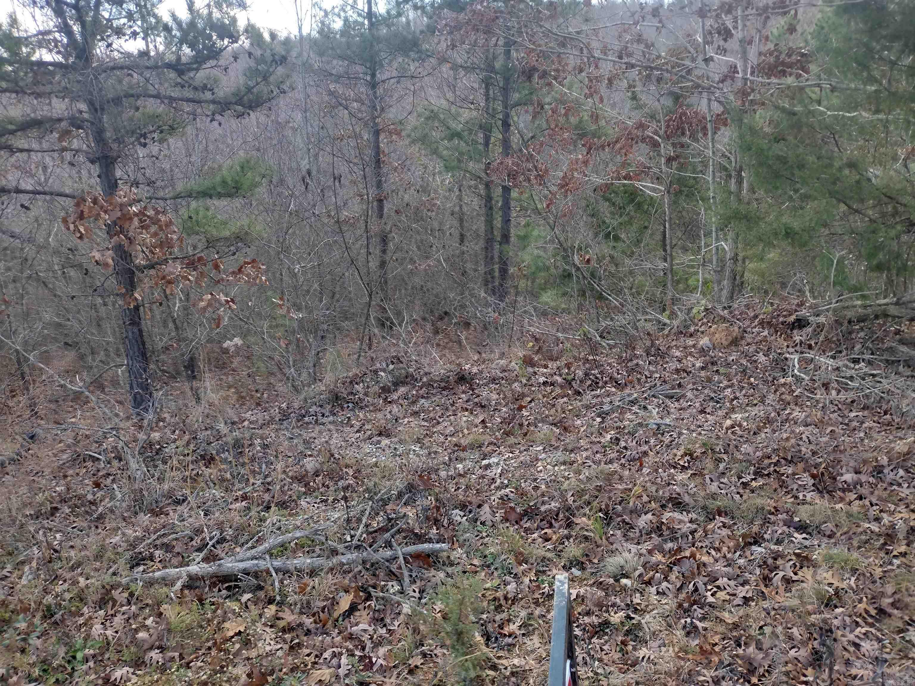 0000  Sunnyland Road  Mountain View, AR