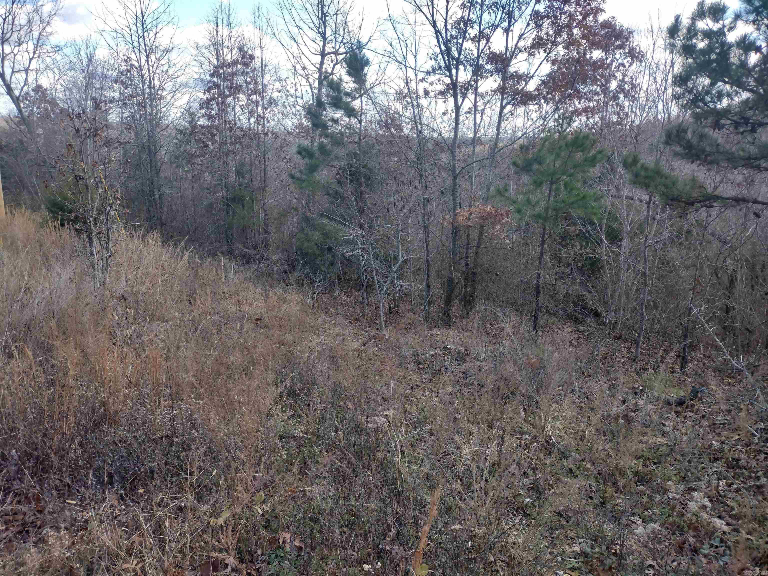 0000  Sunnyland Road  Mountain View, AR