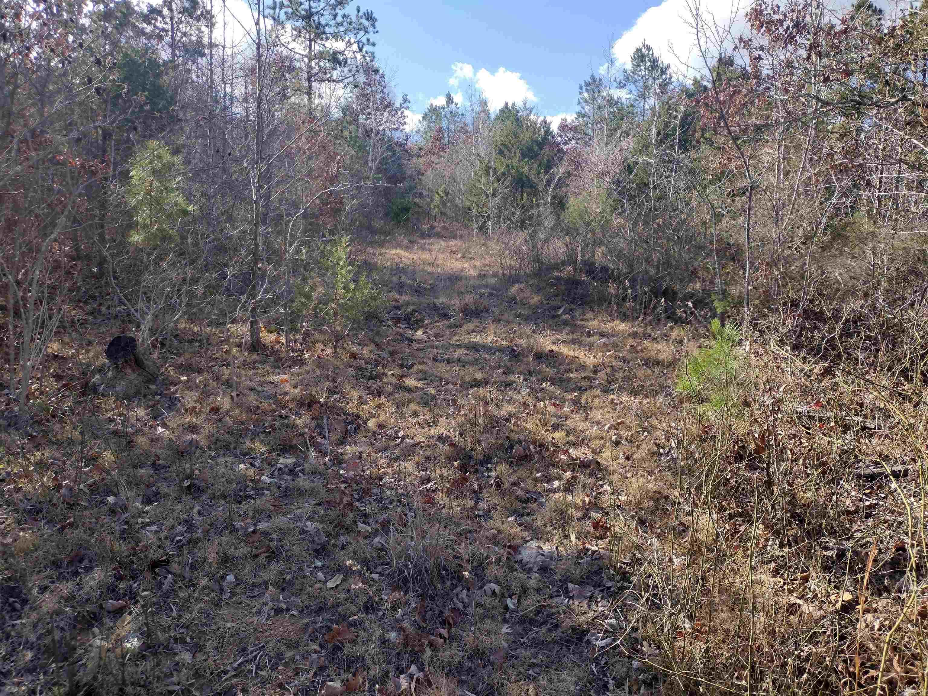 0000  Sunnyland Road  Mountain View, AR