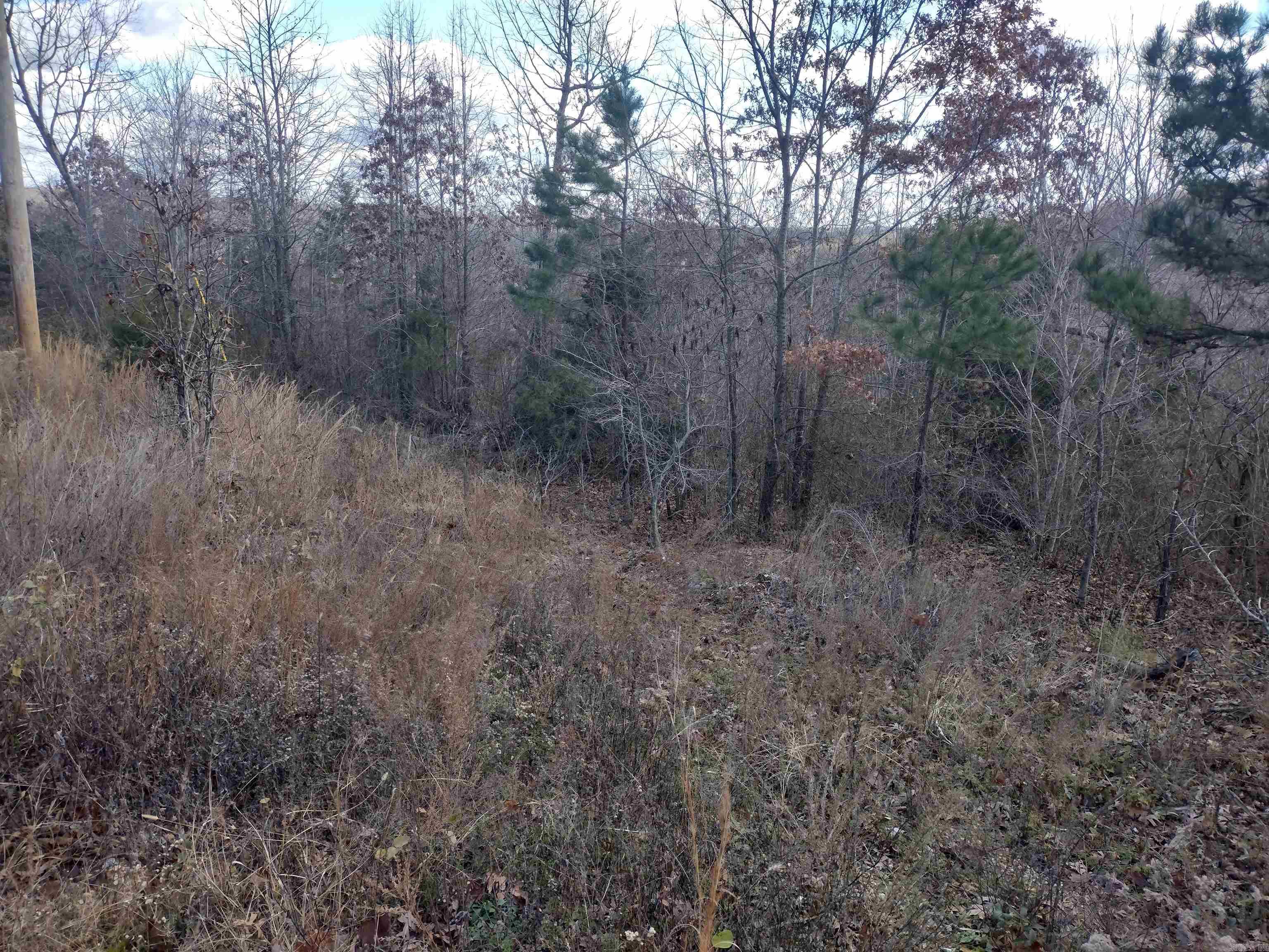 0000  Sunnyland Road  Mountain View, AR