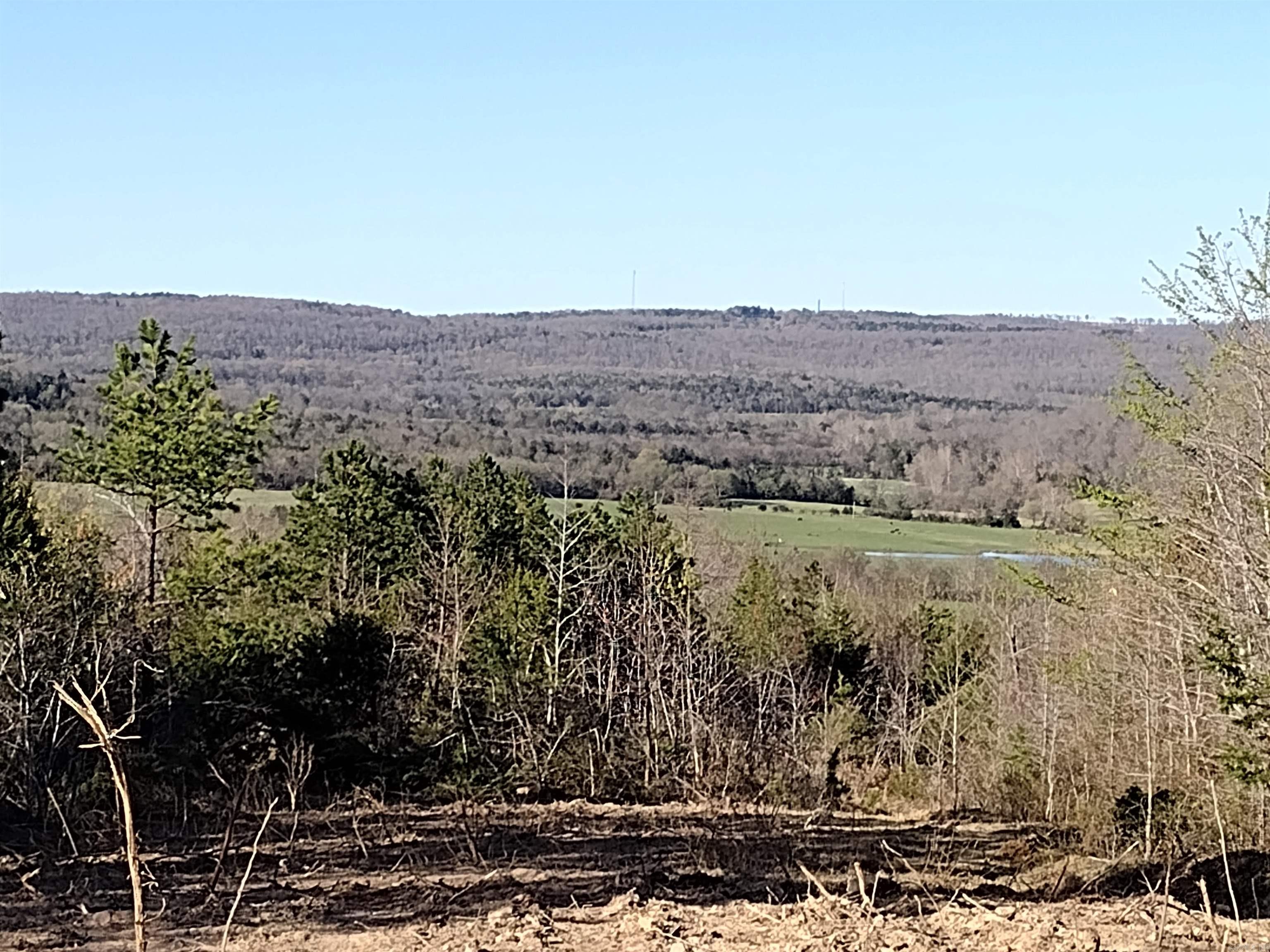 0000  Sunnyland Road  Mountain View, AR