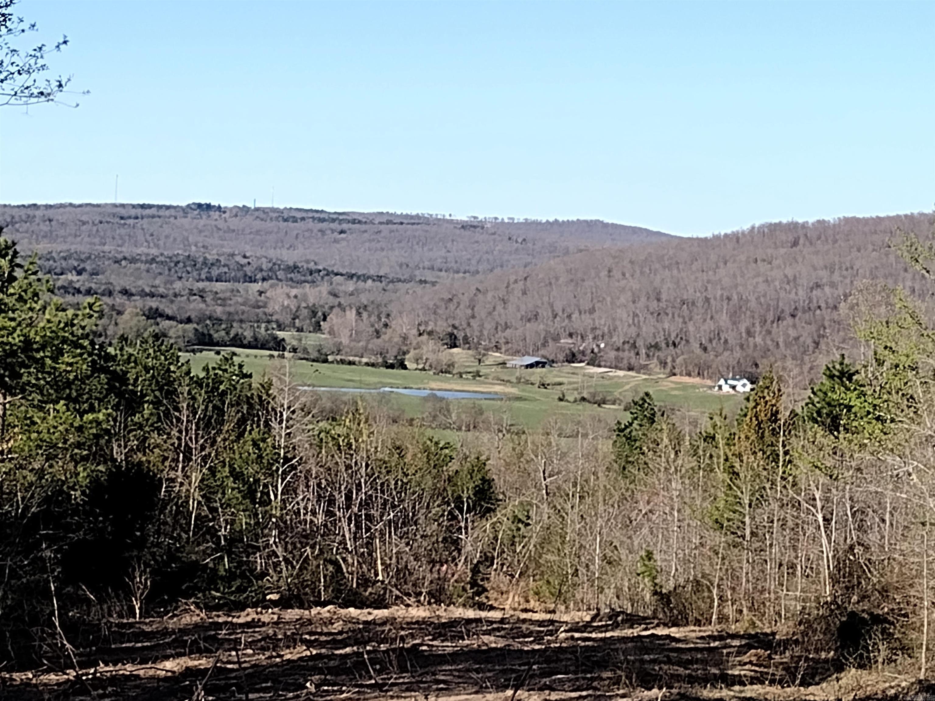 0000  Sunnyland Road  Mountain View, AR