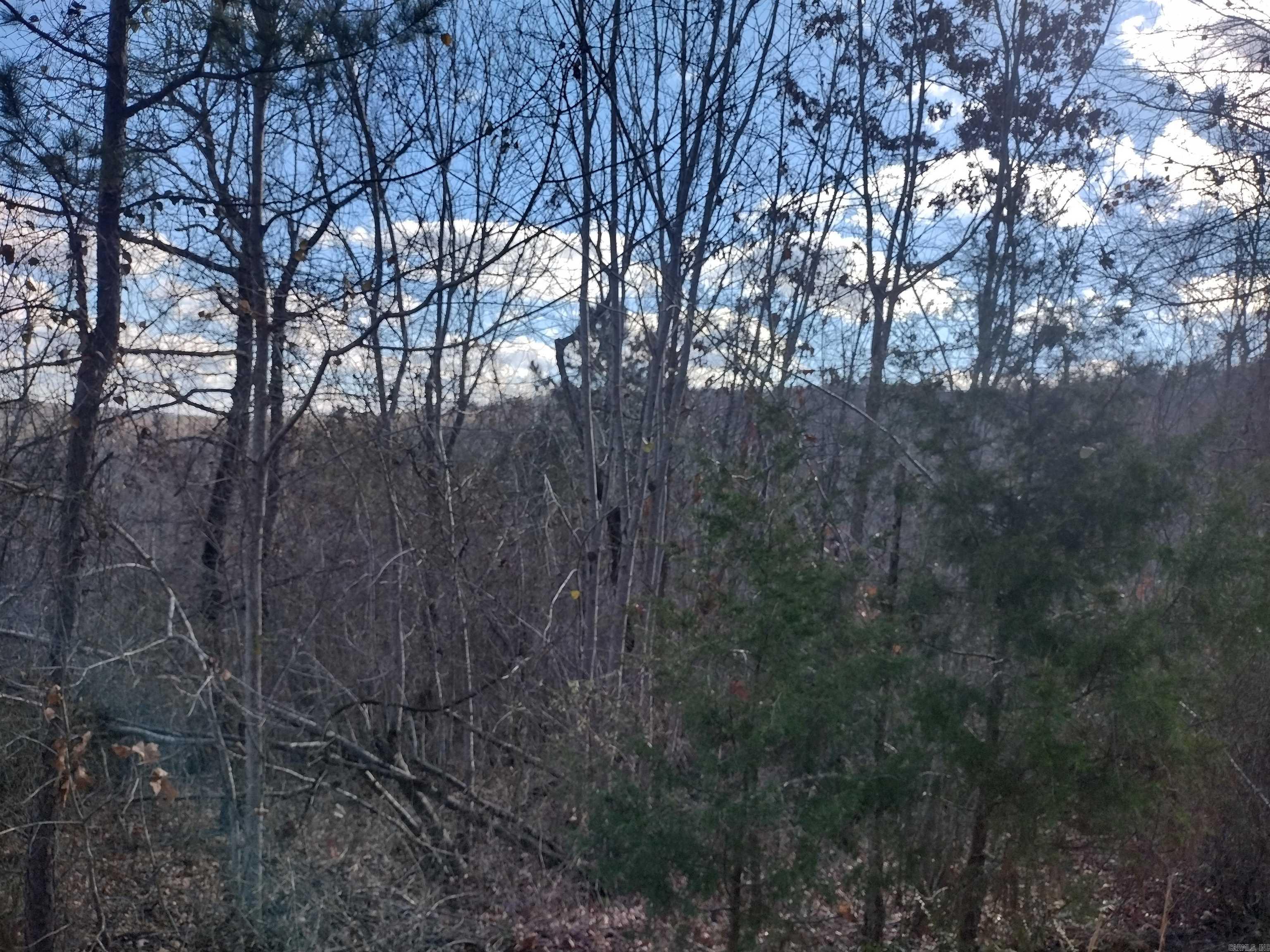 0000  Sunnyland Road  Mountain View, AR