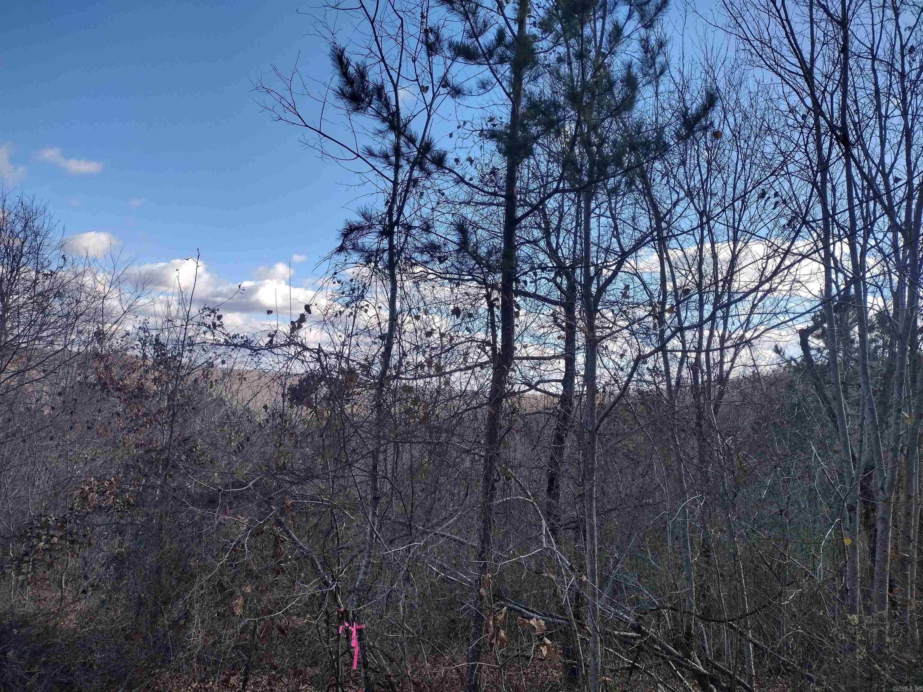 0000  Sunnyland Road  Mountain View, AR