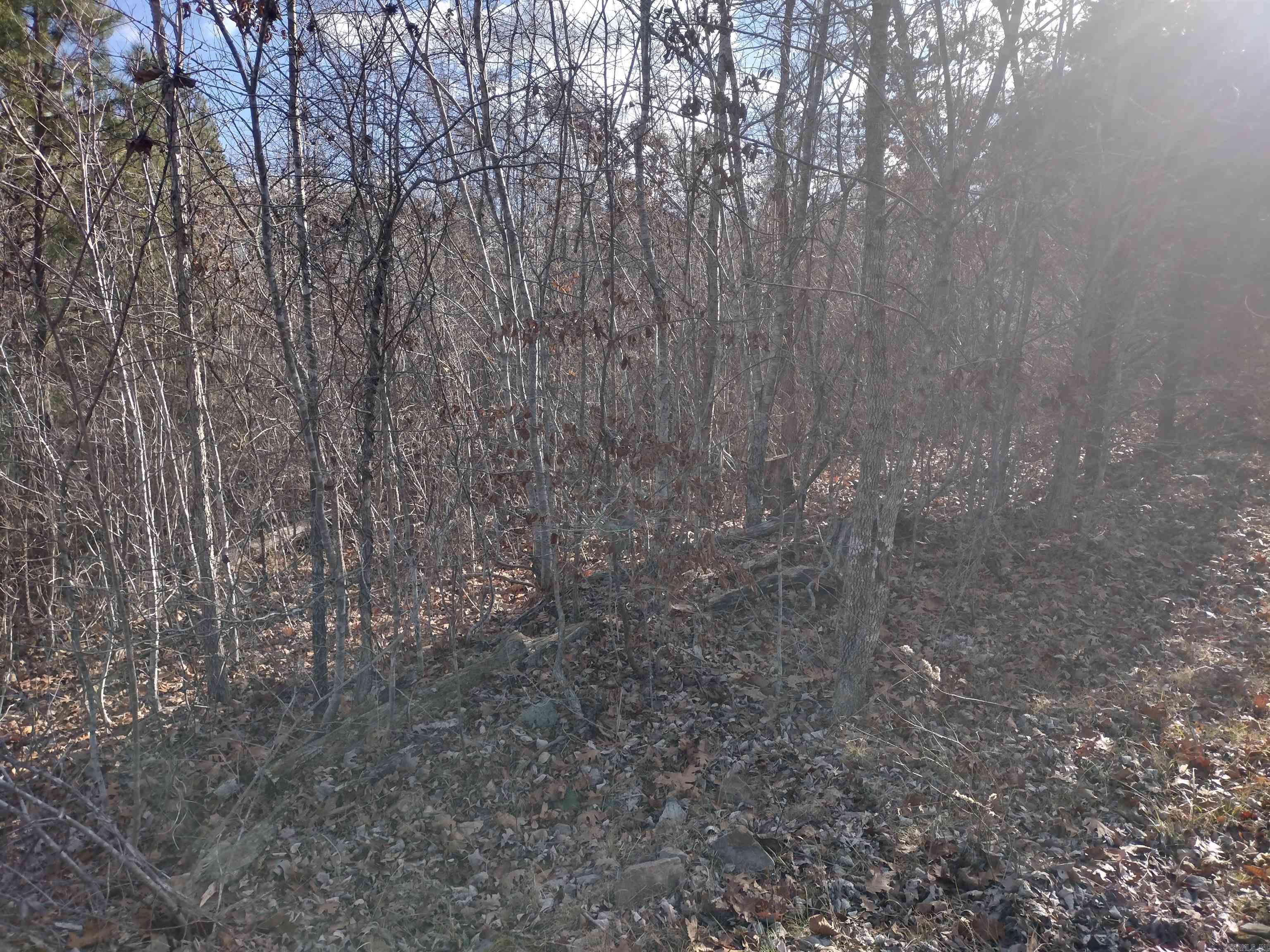 0000  Sunnyland Road  Mountain View, AR