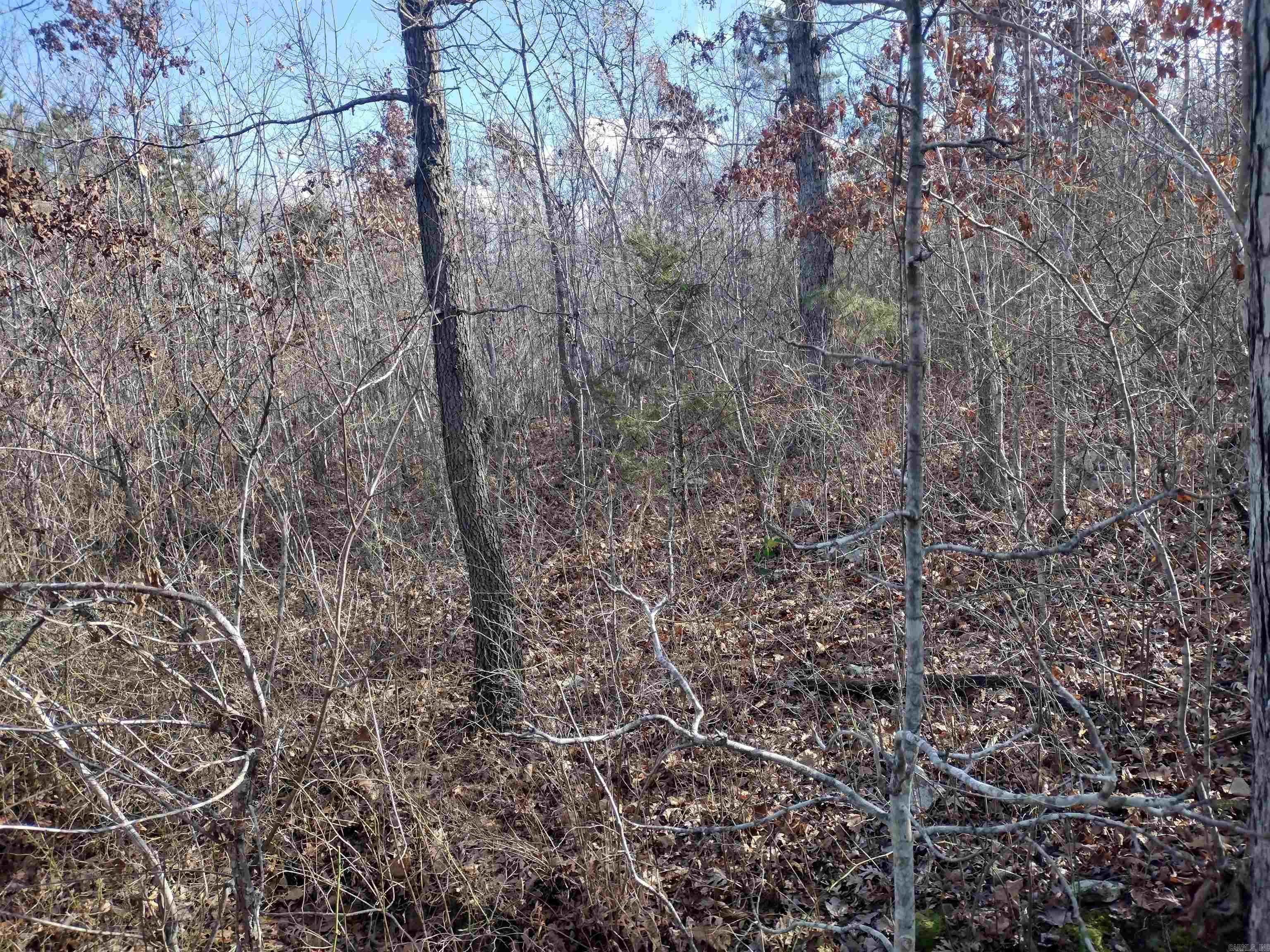 0000  Sunnyland Road  Mountain View, AR