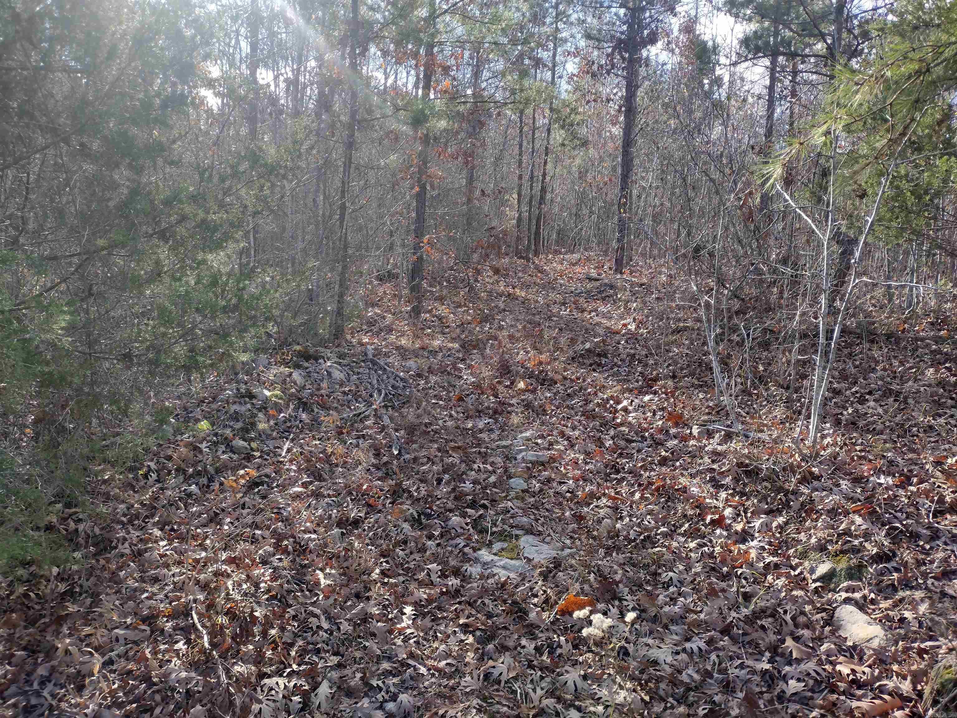 0000  Sunnyland Road  Mountain View, AR