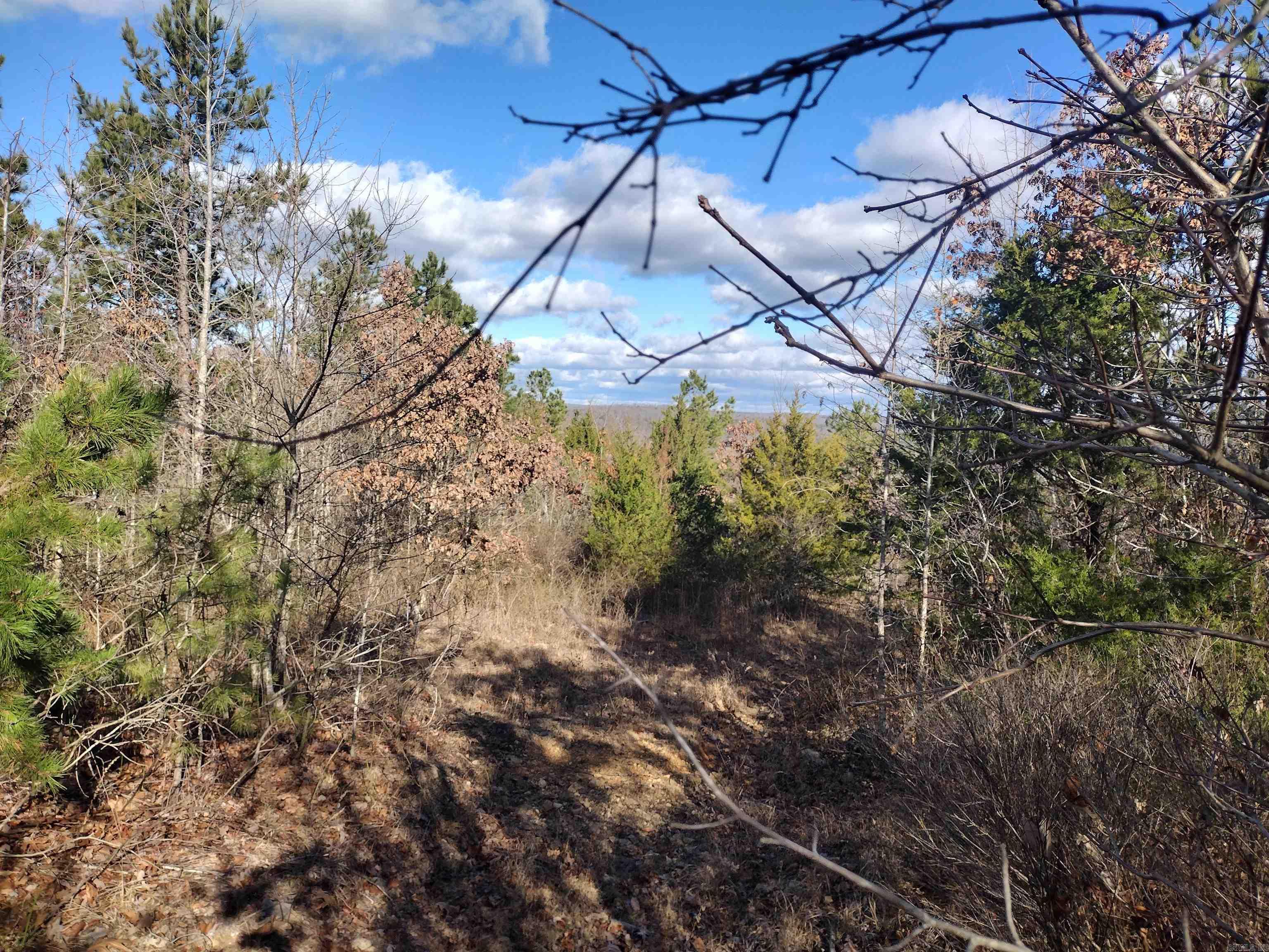 0000  Sunnyland Road  Mountain View, AR
