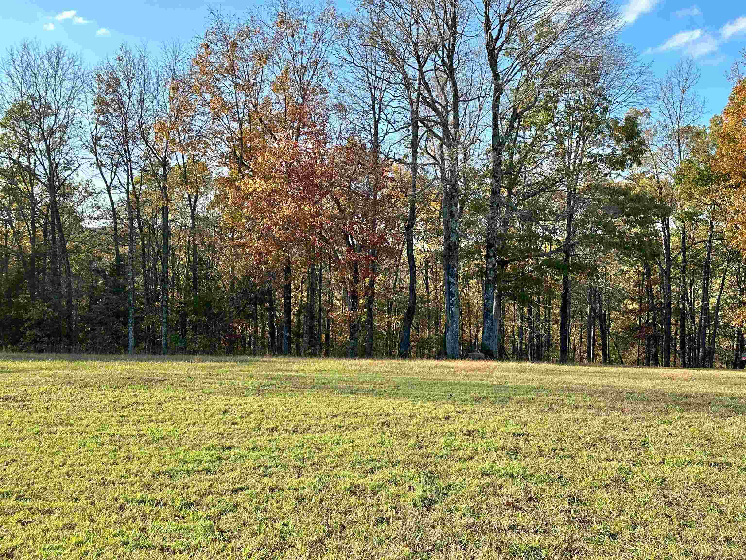8997  Highway 9  Mountain View, AR