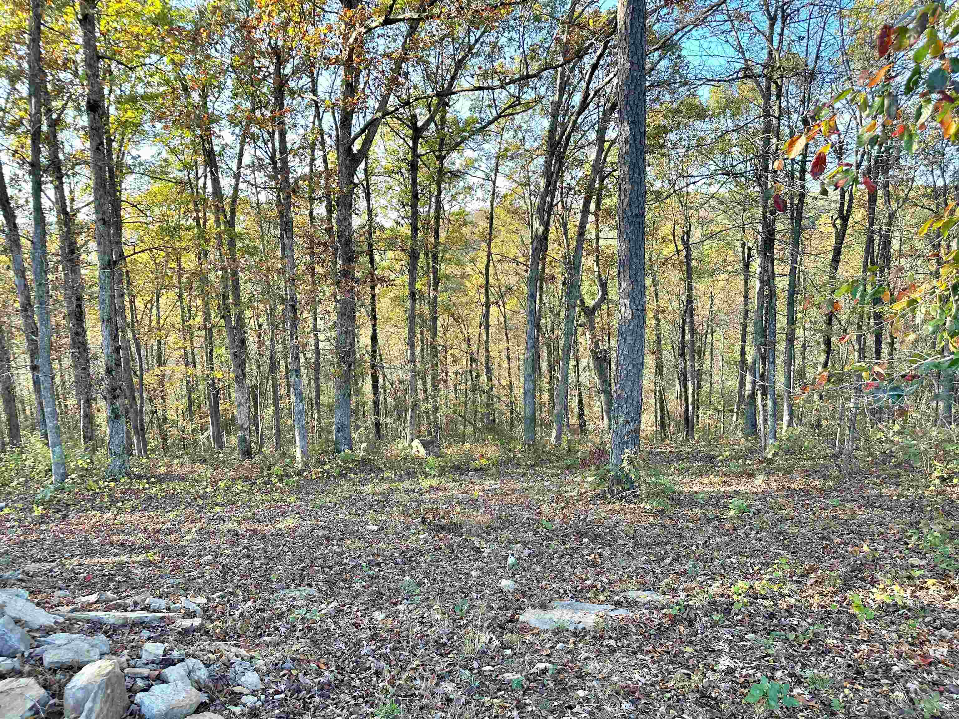 8997  Highway 9  Mountain View, AR