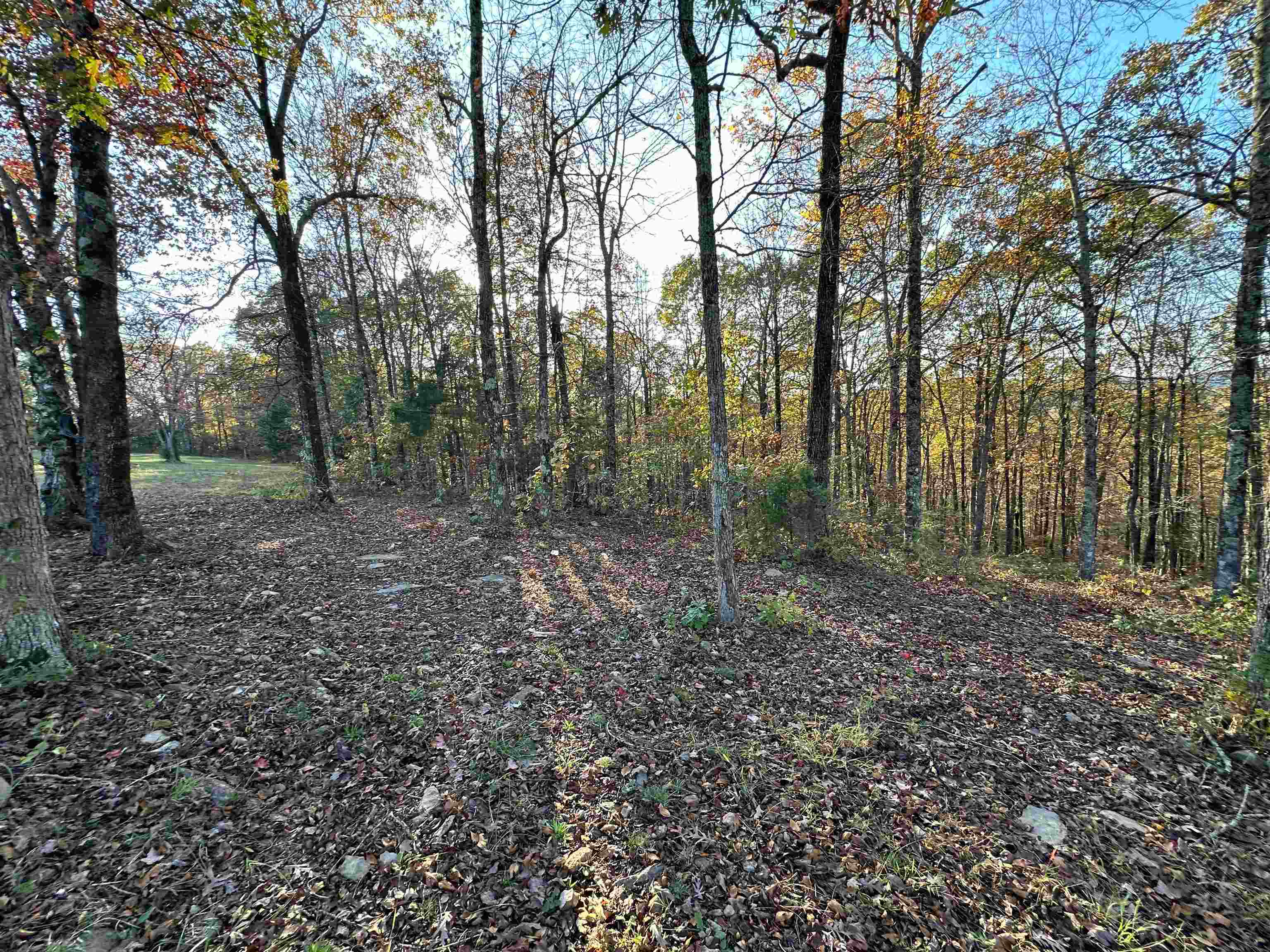 8997  Highway 9  Mountain View, AR